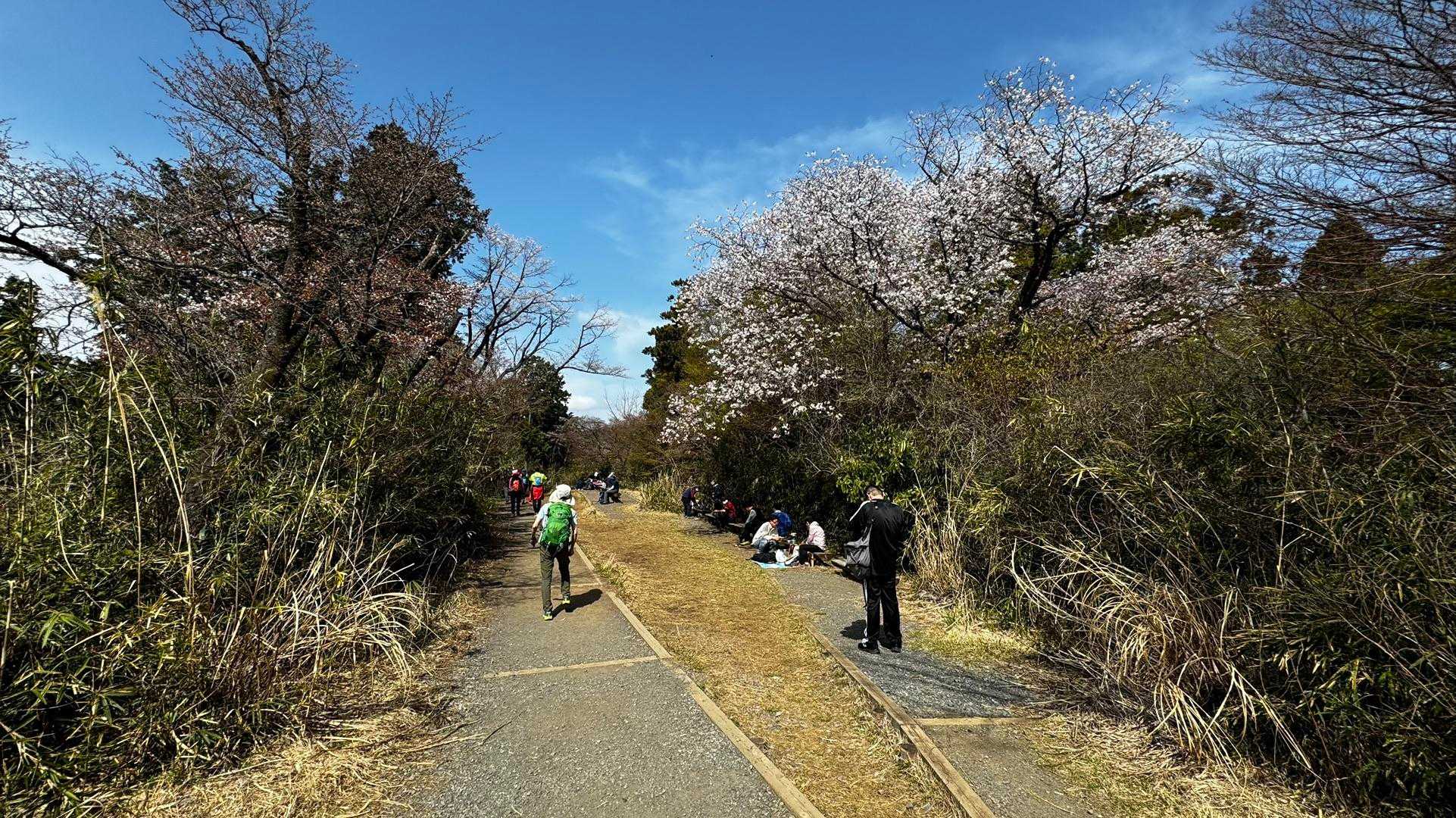 南高尾セブンサミッツ（大洞山・コンピラ山・中沢山・入沢山・泰光寺山・榎窪山・草戸山） の写真 4