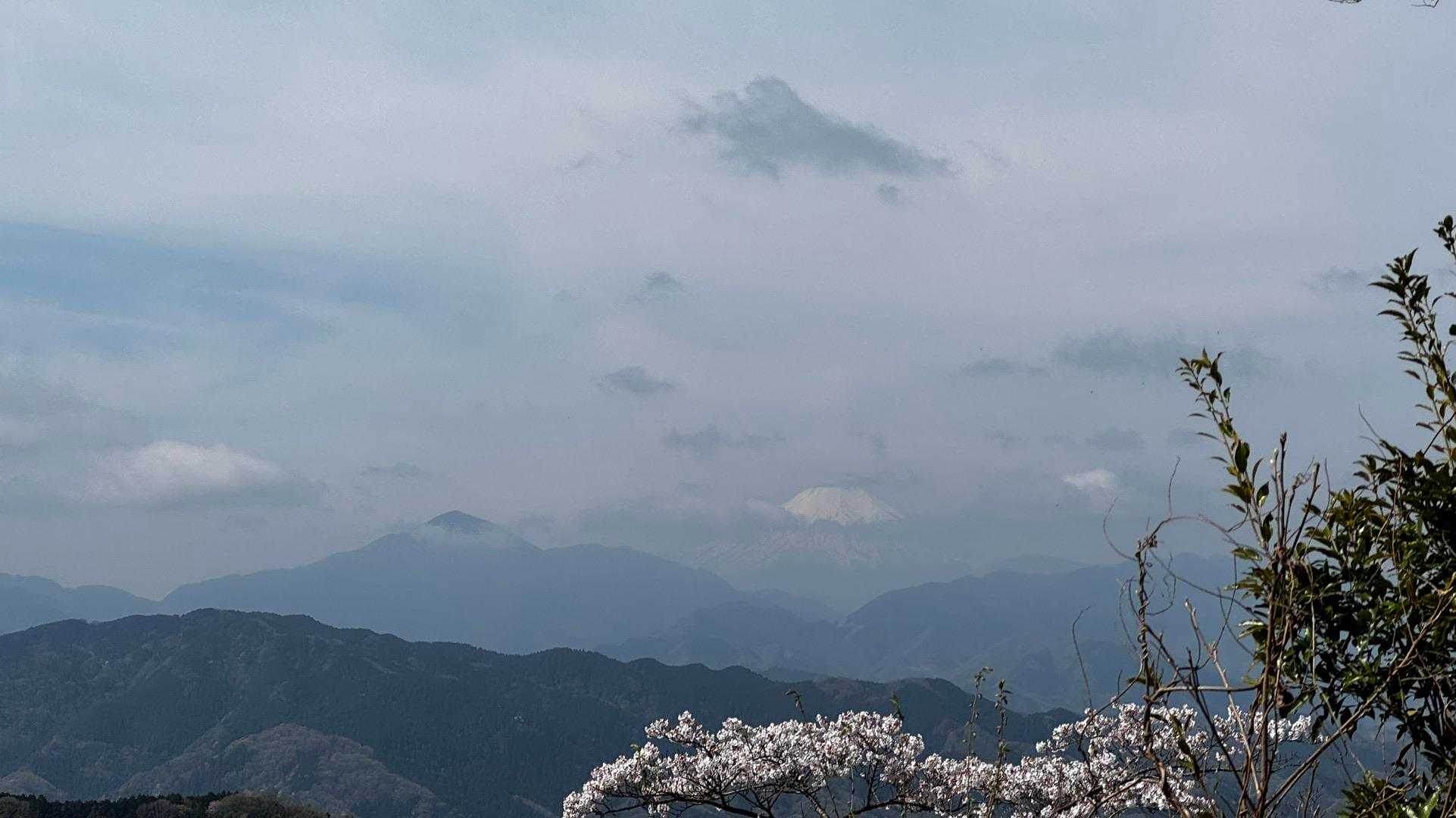 南高尾セブンサミッツ（大洞山・コンピラ山・中沢山・入沢山・泰光寺山・榎窪山・草戸山） の写真 3