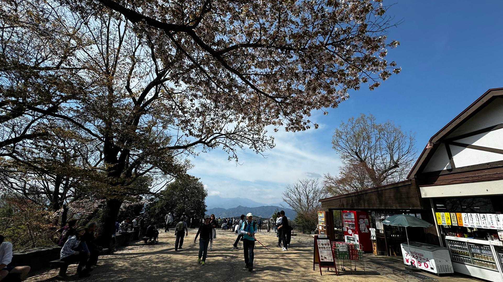 南高尾セブンサミッツ（大洞山・コンピラ山・中沢山・入沢山・泰光寺山・榎窪山・草戸山） の写真 2
