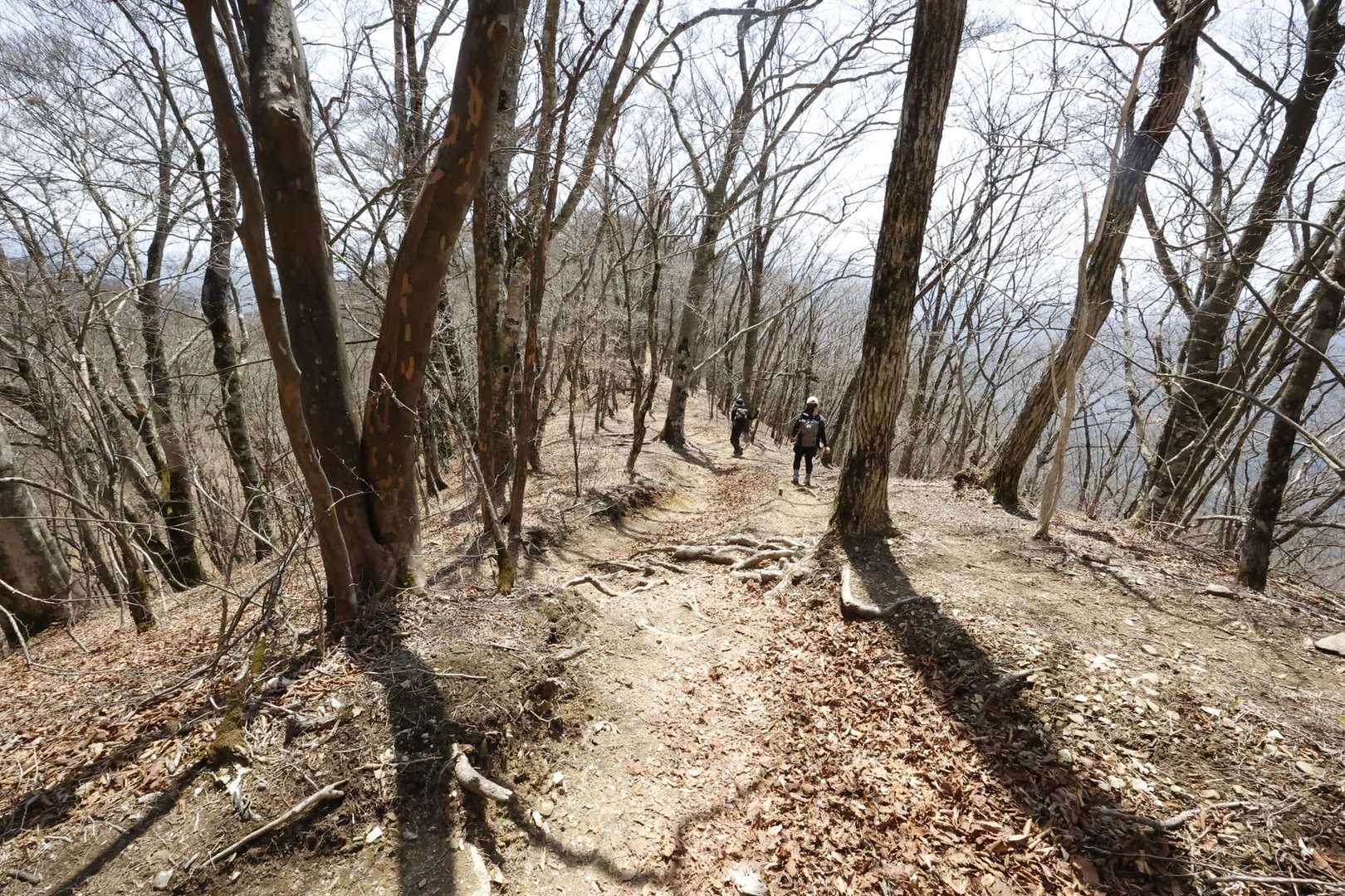 三頭山 の写真 4