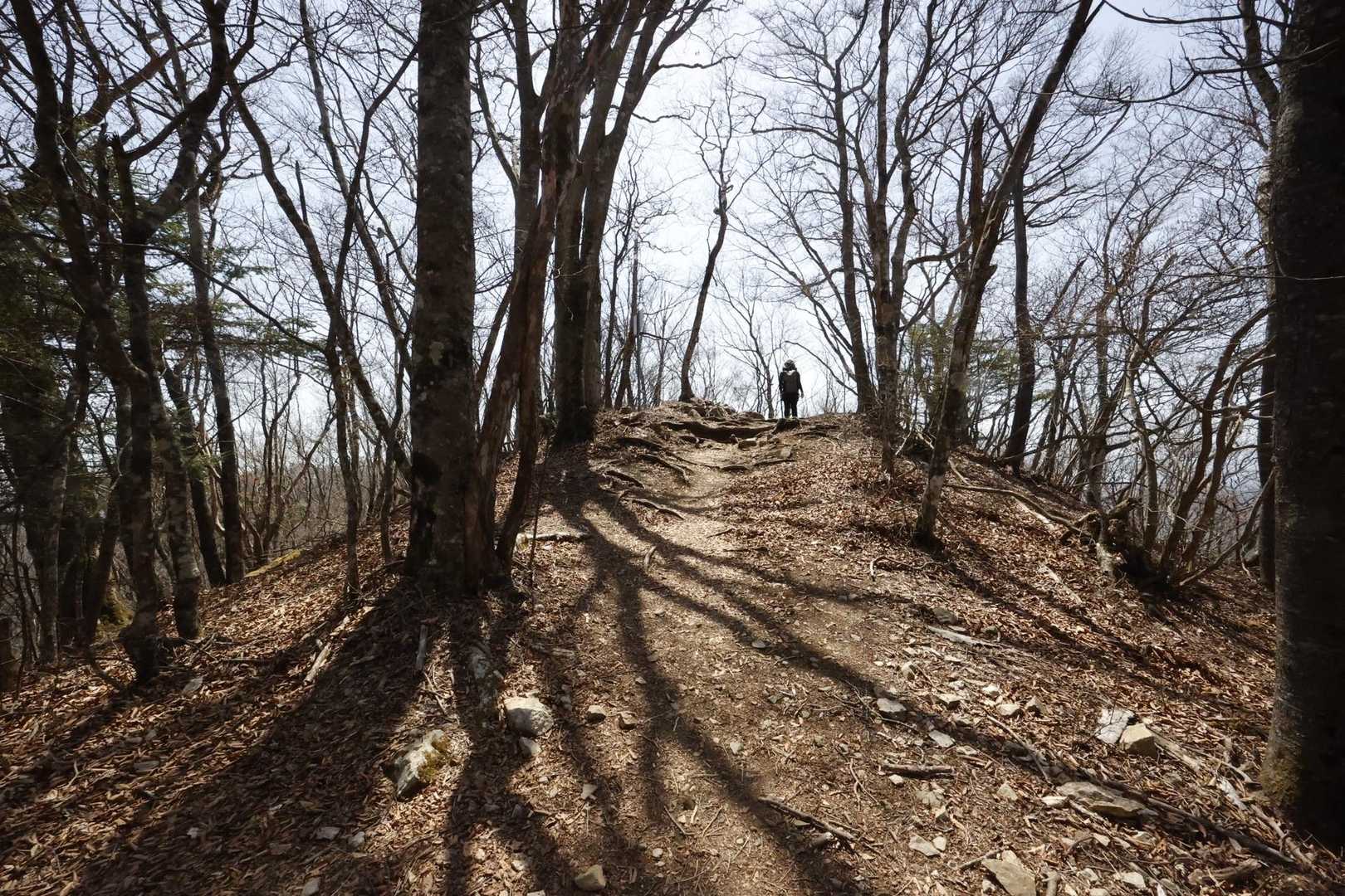 三頭山 の写真 5