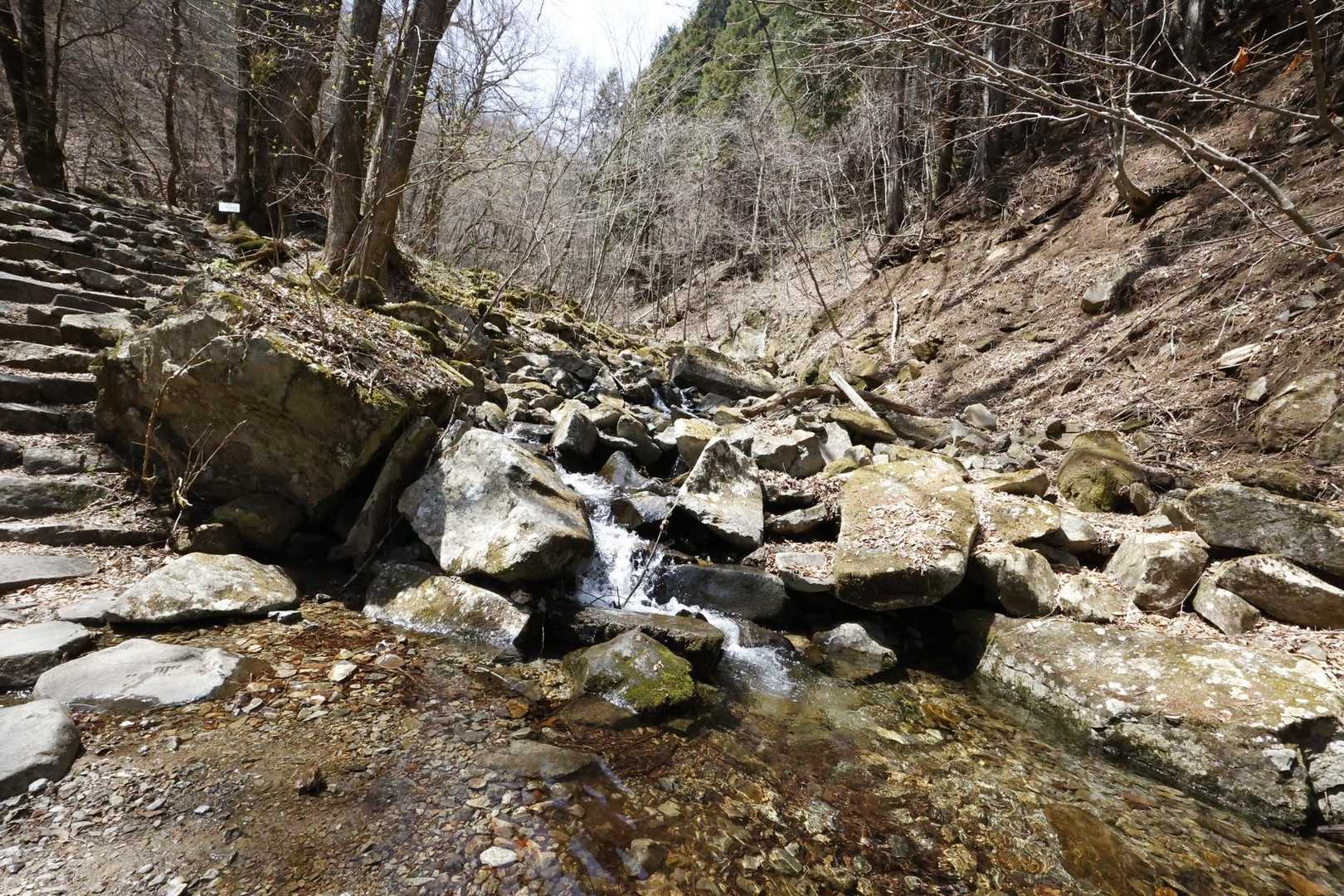 三頭山 の写真 6