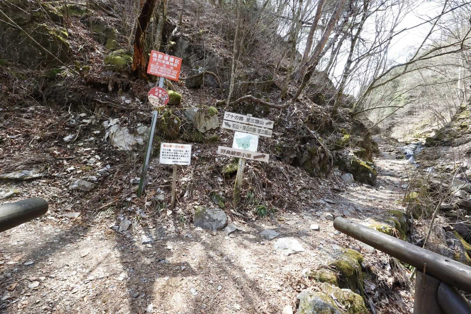 三頭山 の写真 7