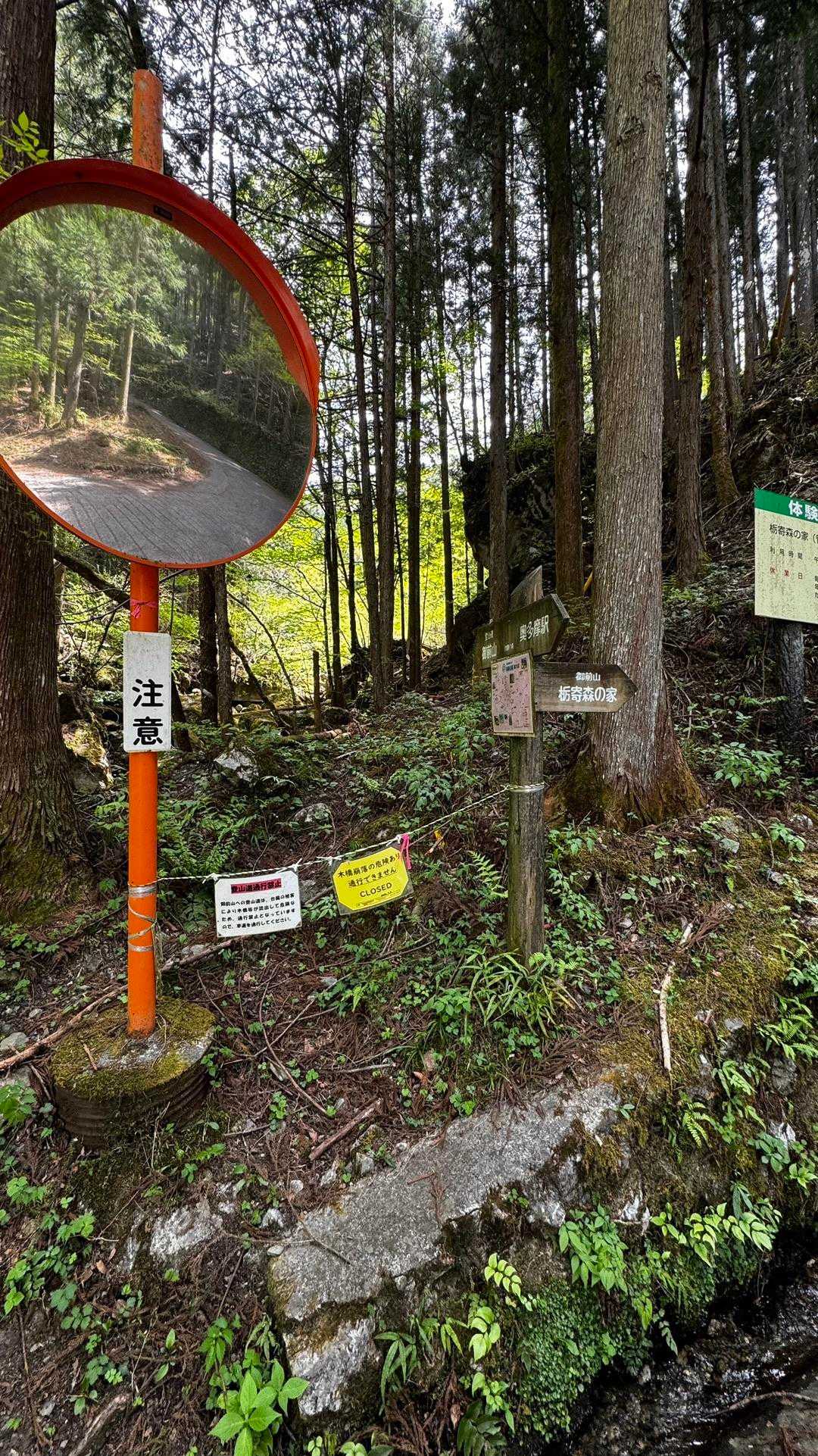 御前山 の写真 51
