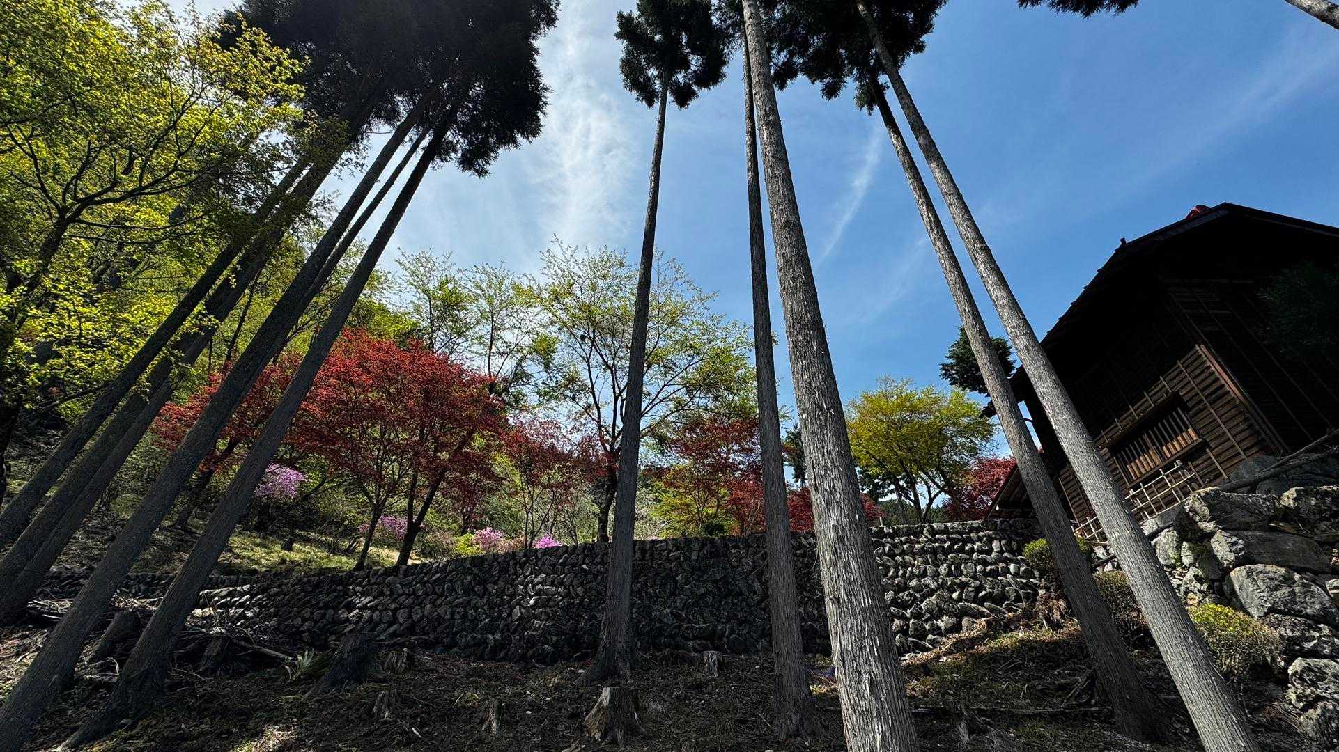 御前山 の写真 50