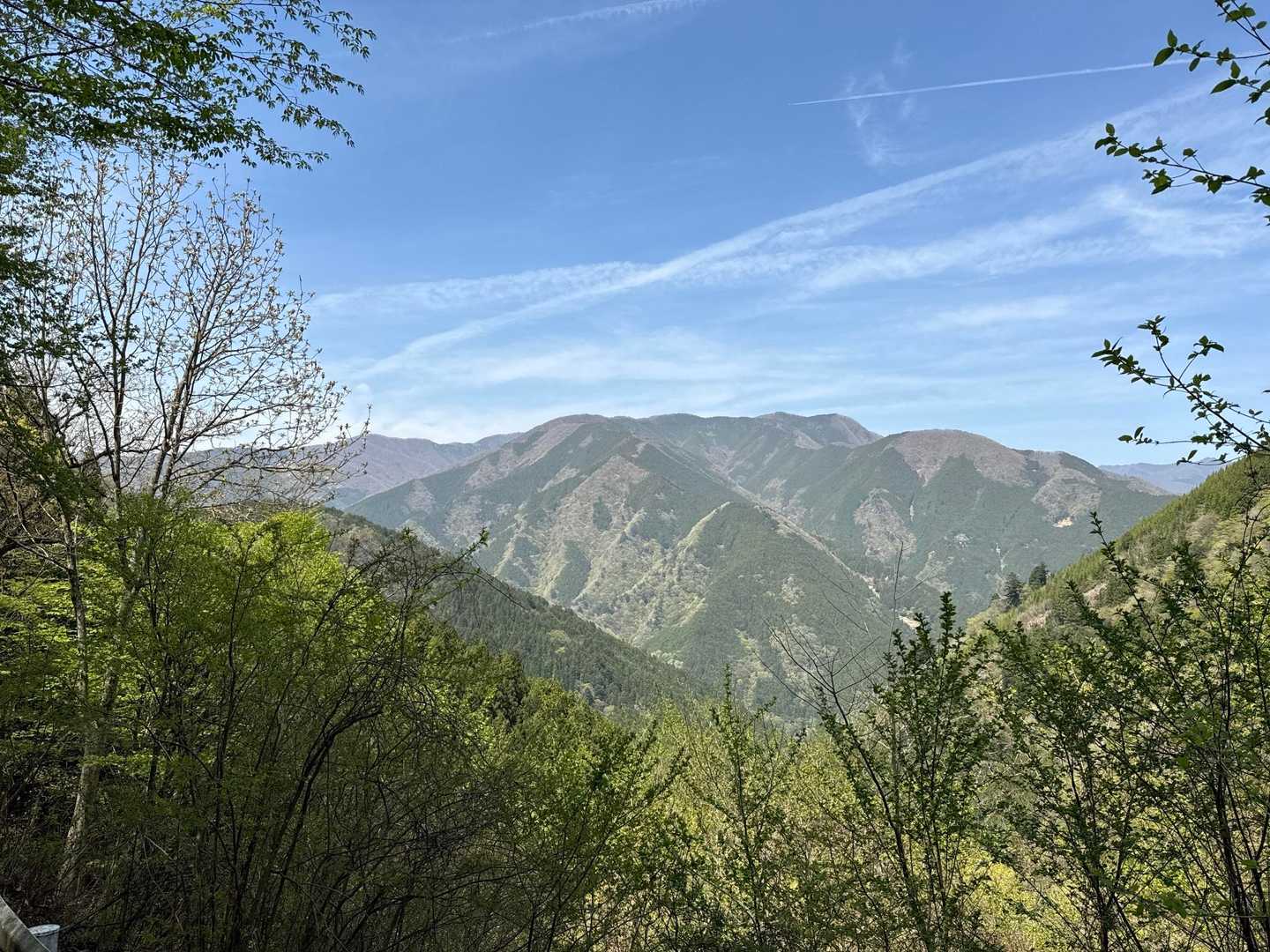 御前山 の写真 46