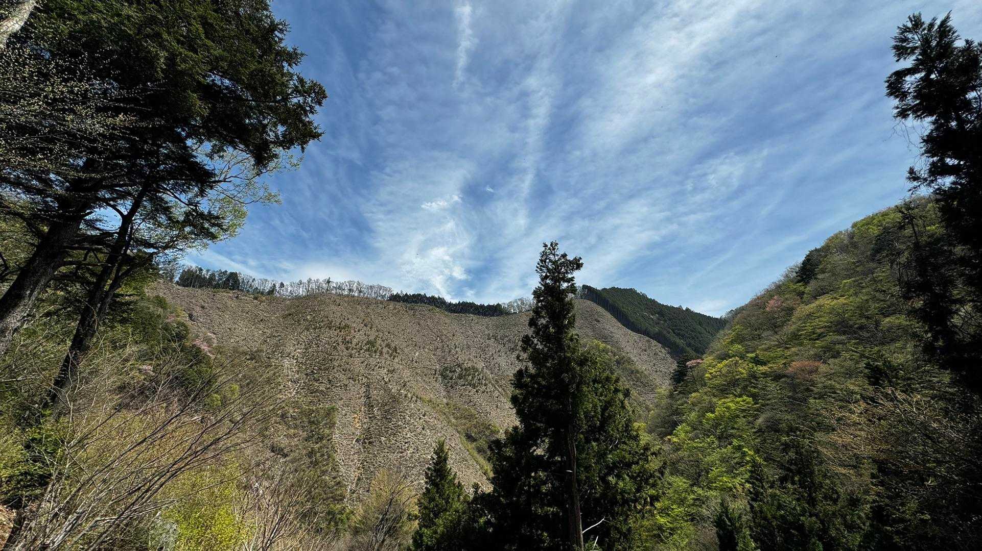 御前山 の写真 45
