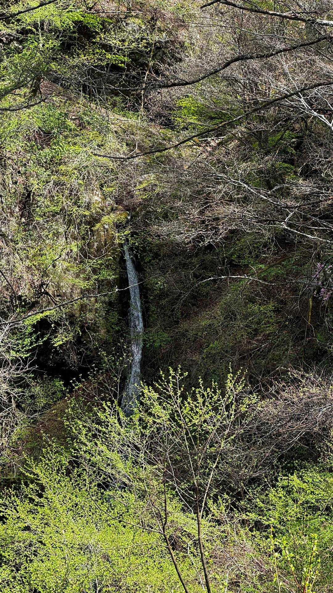 御前山 の写真 44
