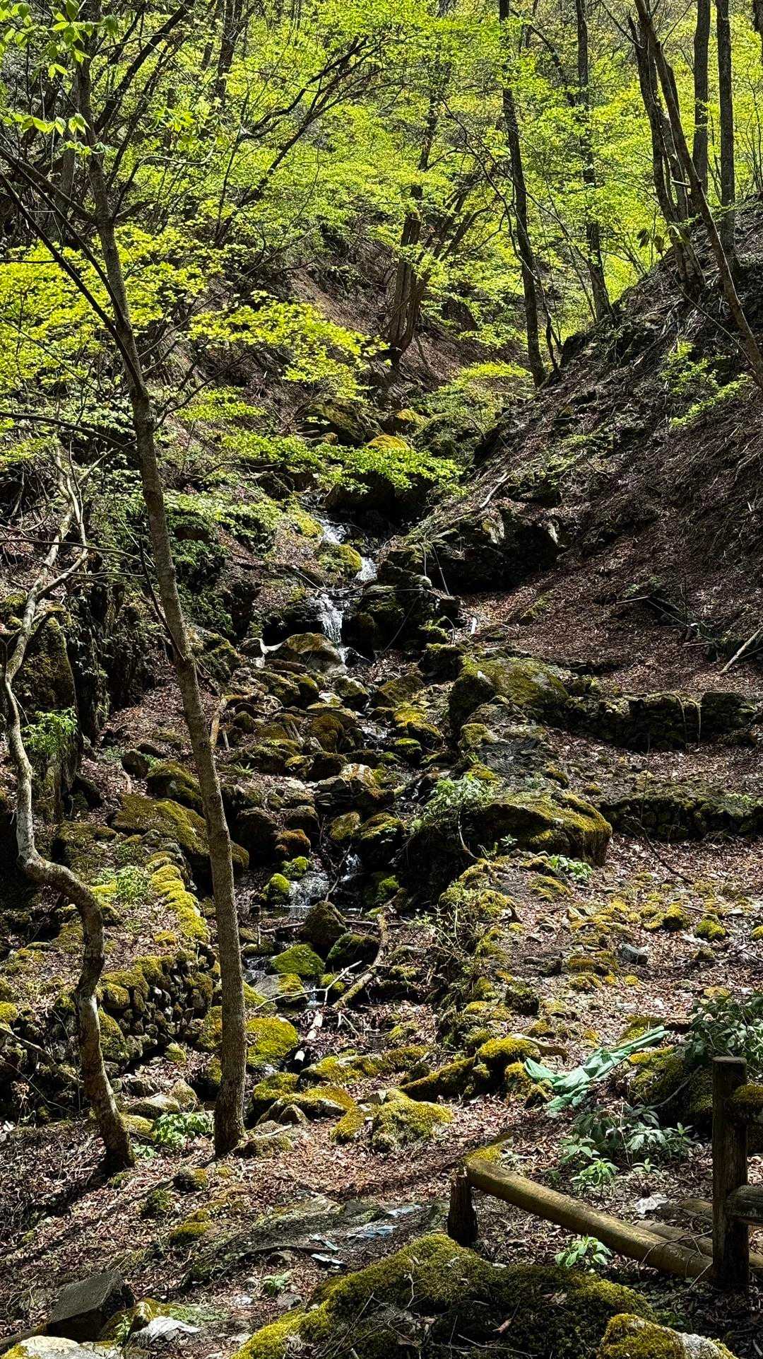 御前山 の写真 41