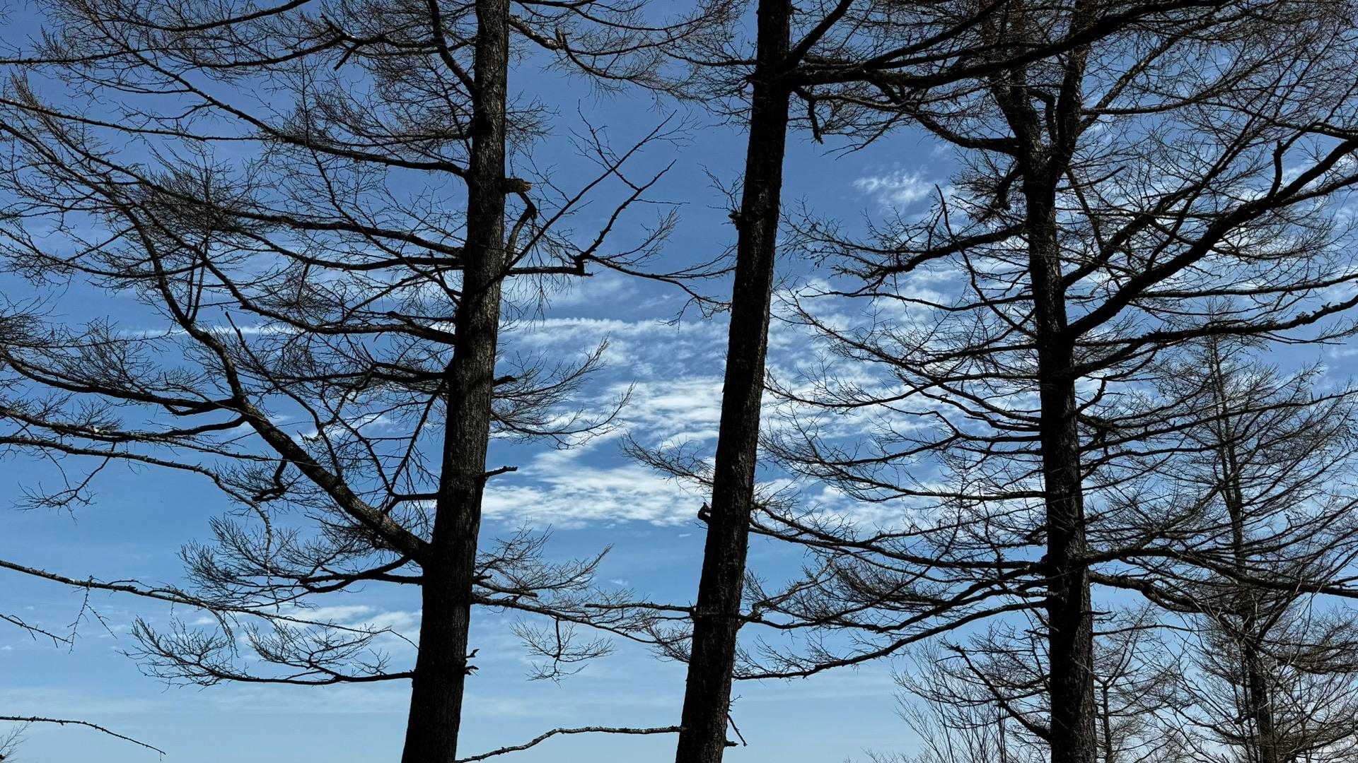 御前山 の写真 25