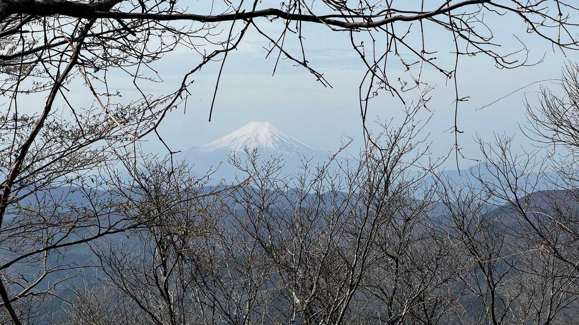御前山手前で富士山がうっすら見えました