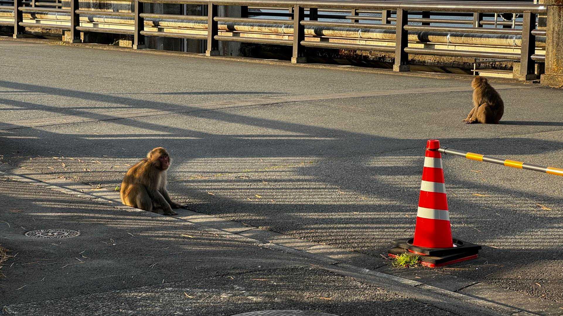 御前山 の写真 1