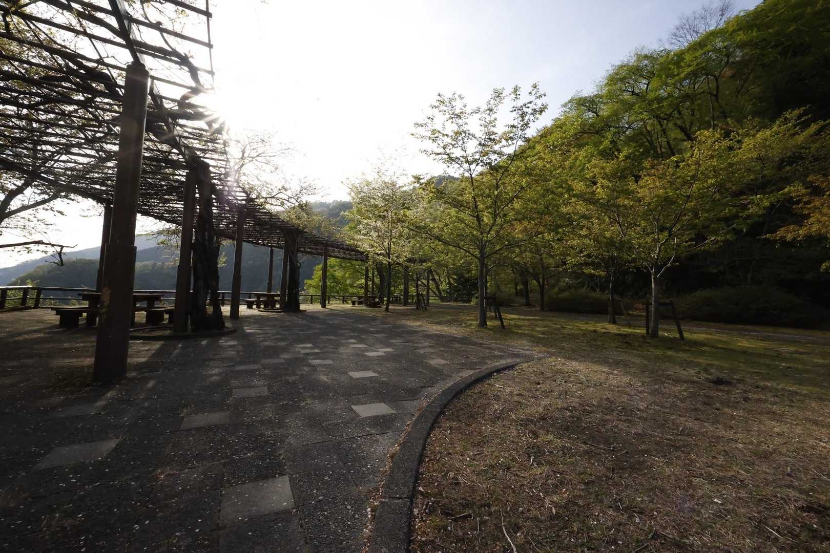 御前山 の写真 6
