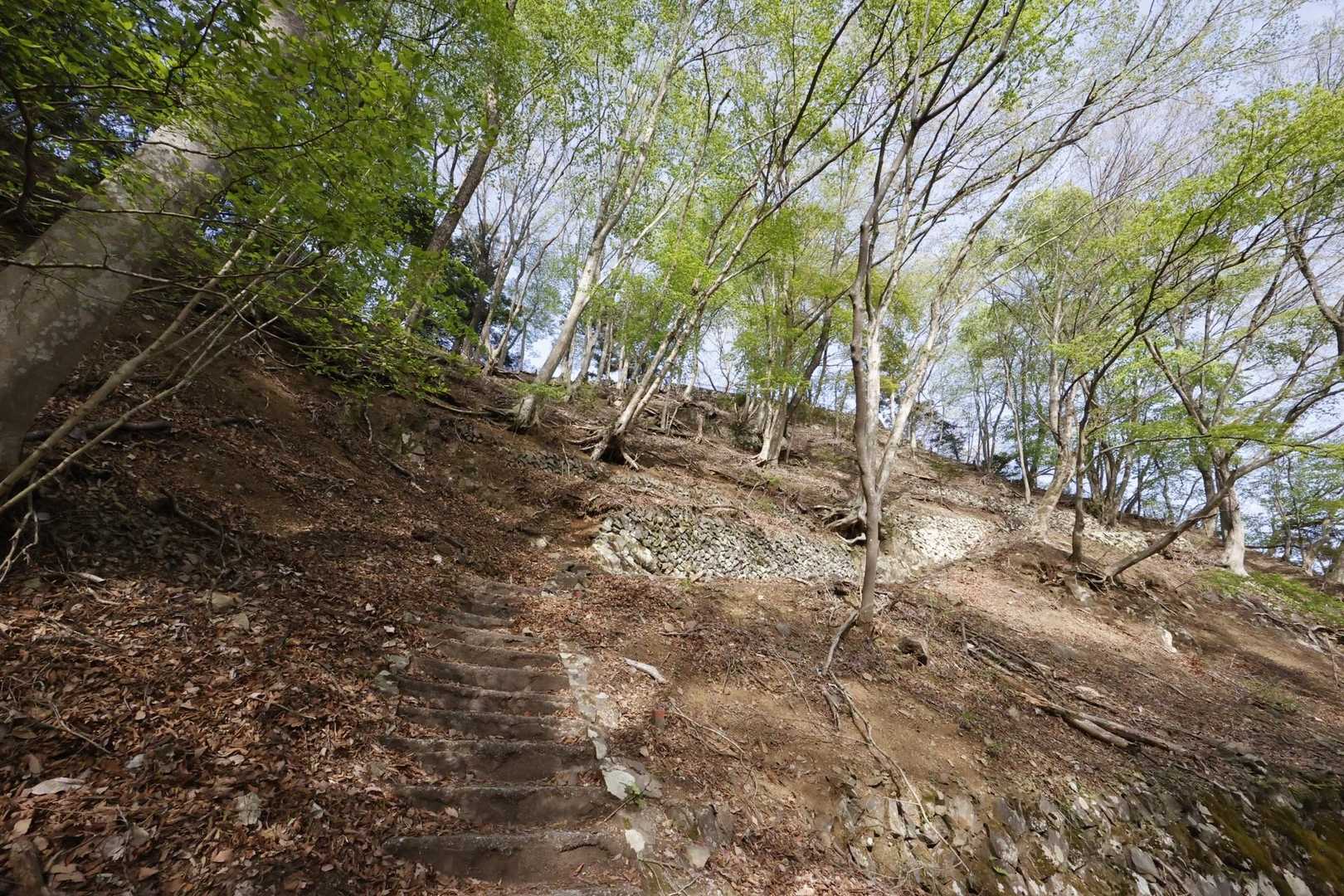 御前山 の写真 8