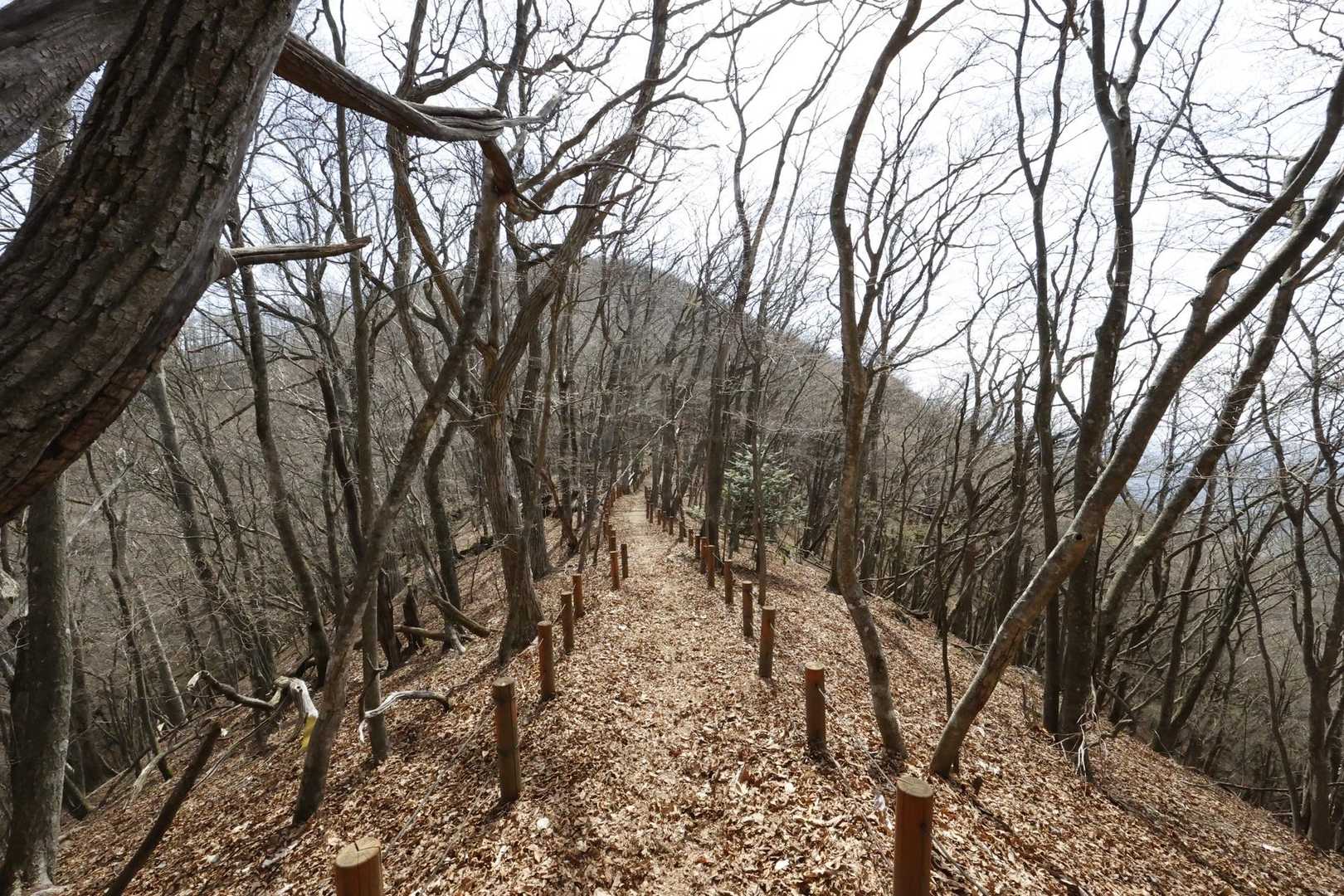 御前山 の写真 21