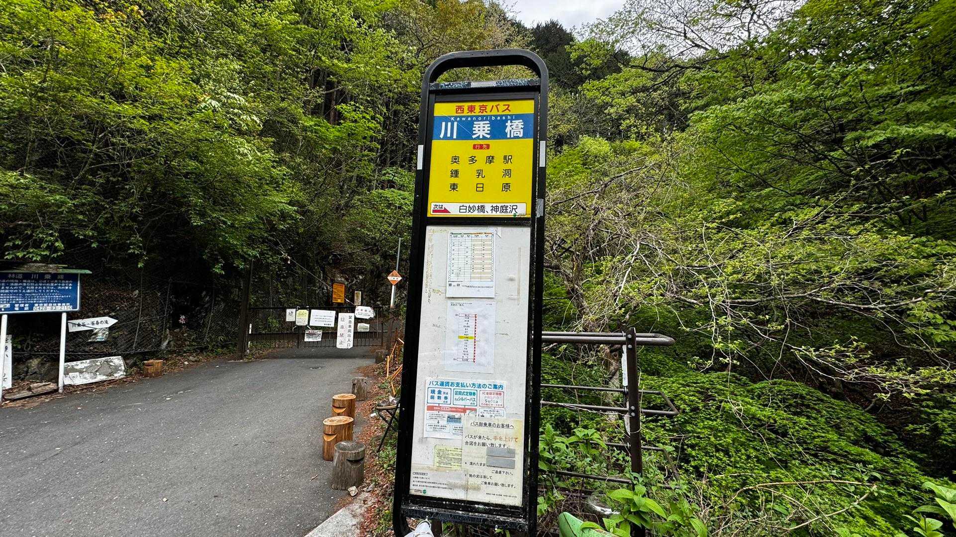 川苔山・梶尾根縦走 の写真 23