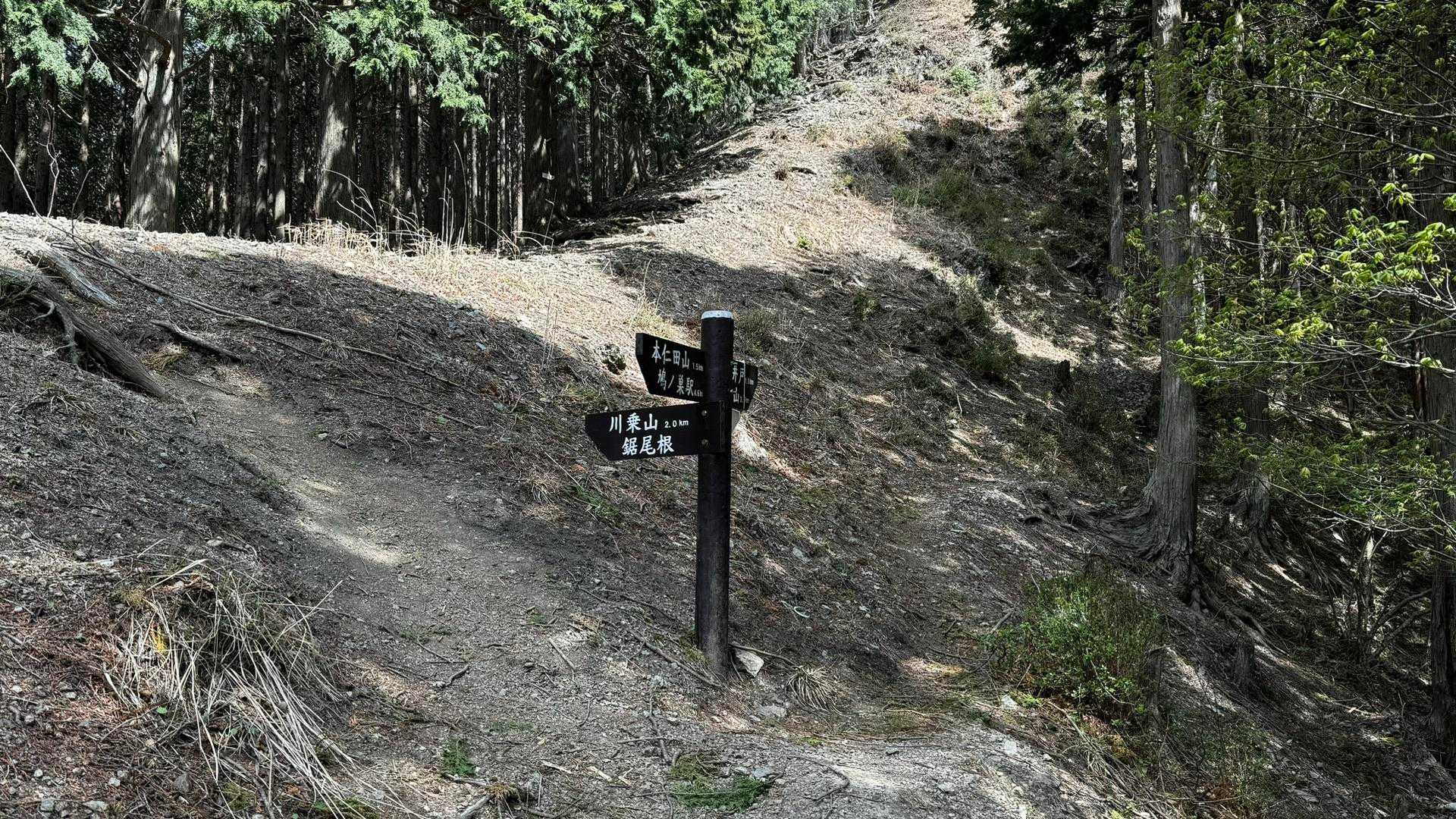 川苔山・梶尾根縦走 の写真 14
