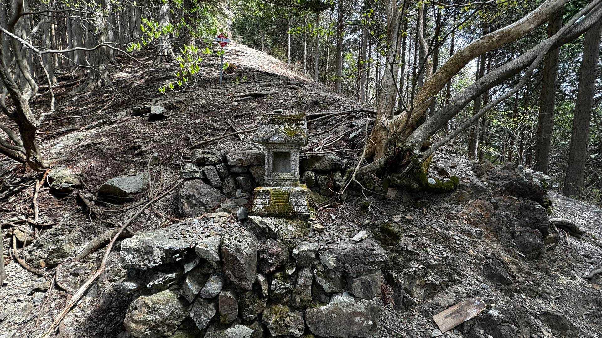 川苔山・梶尾根縦走 の写真 13