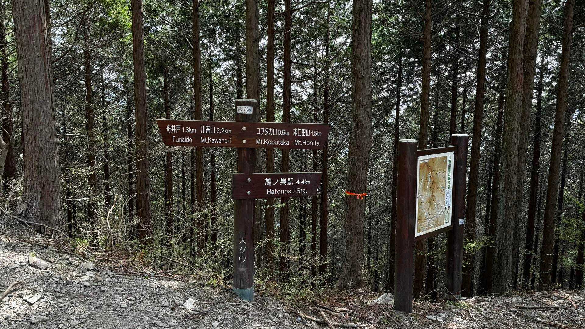 川苔山・梶尾根縦走 の写真 12