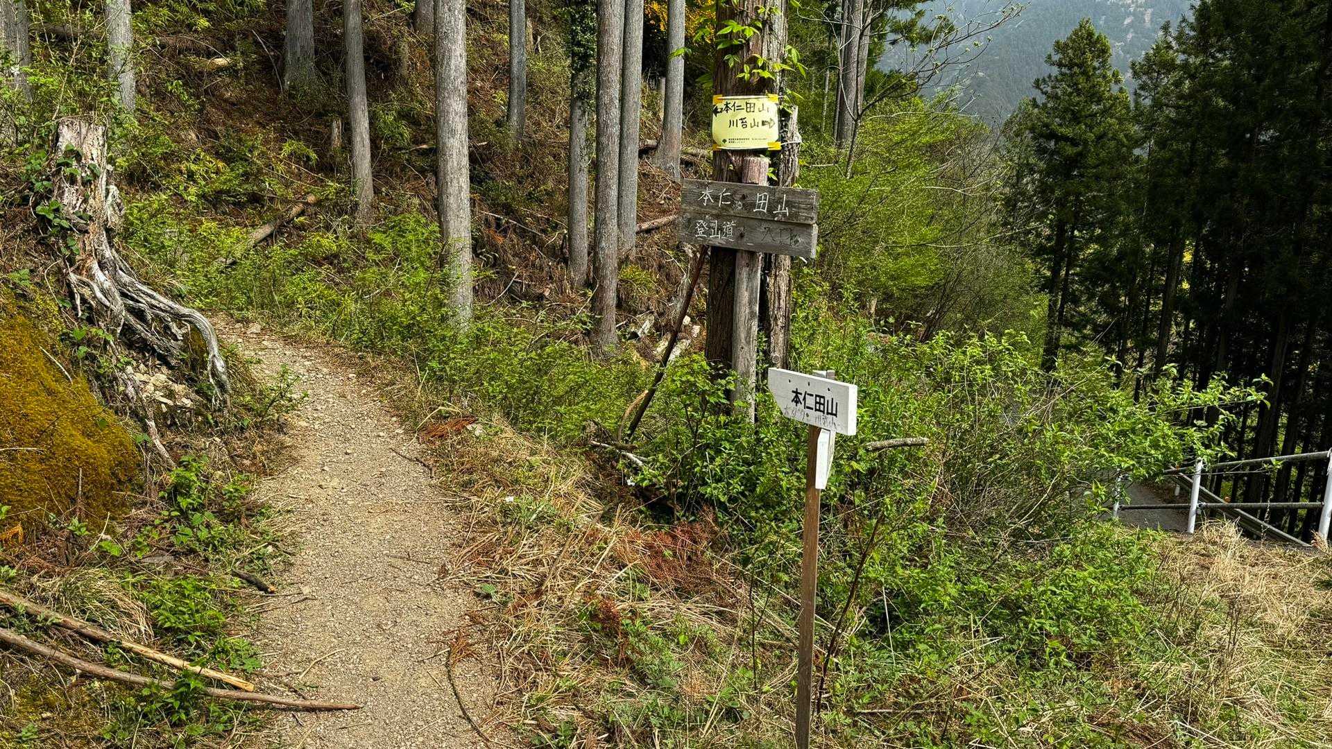 川苔山・梶尾根縦走 の写真 10