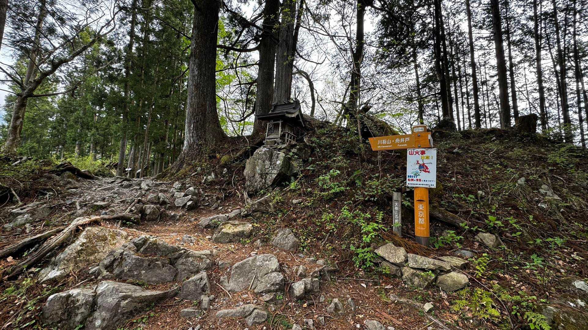 川苔山・梶尾根縦走 の写真 9