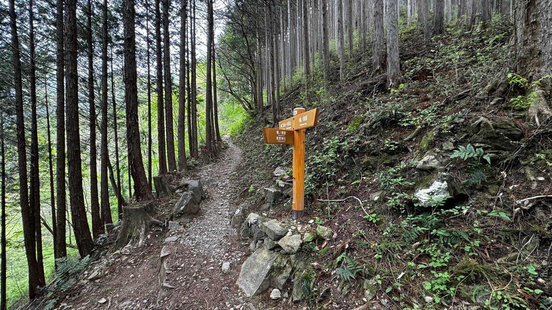川苔山・梶尾根縦走 の写真 8