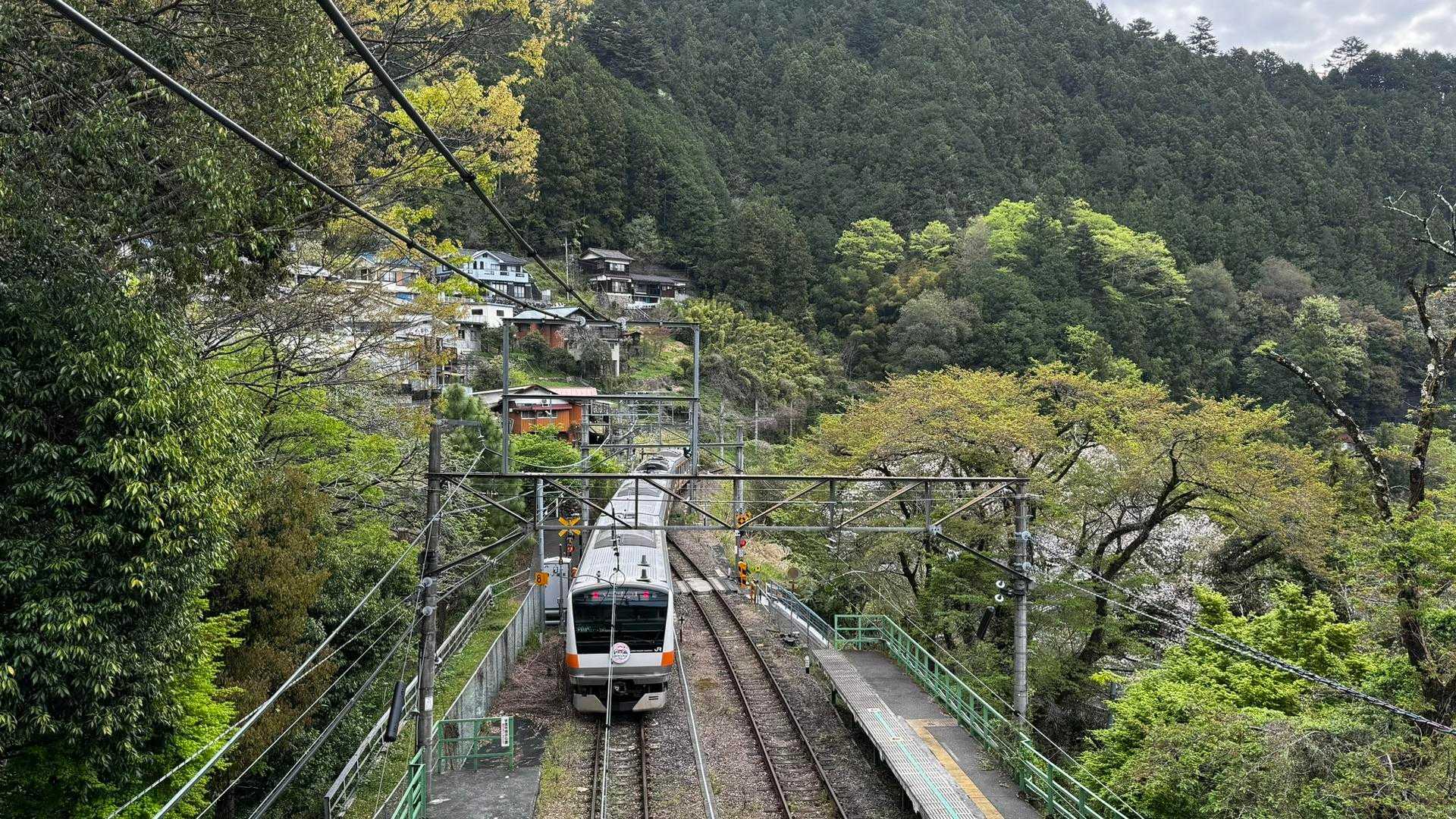 川苔山・梶尾根縦走 の写真 2