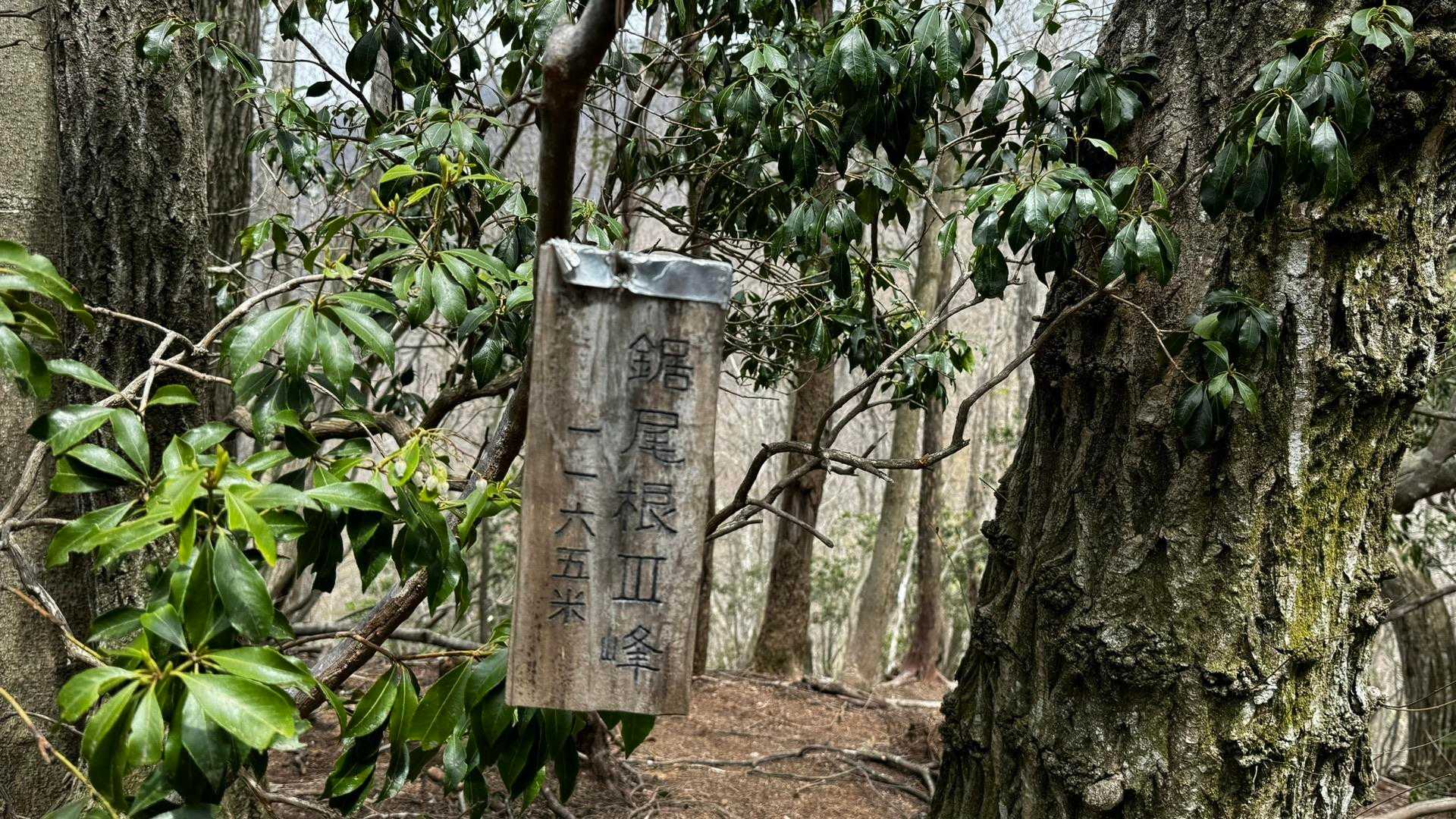 梶尾根Ⅲ峰