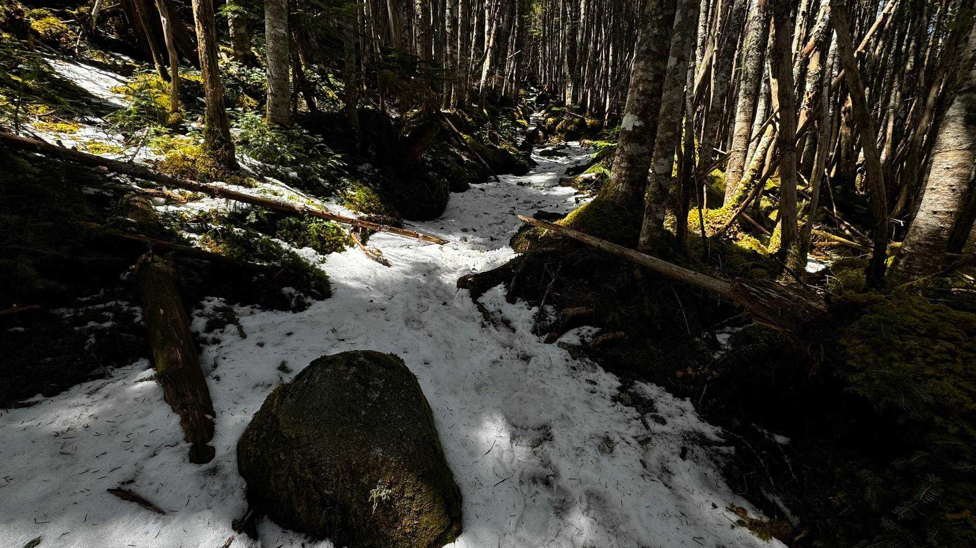 三宝山・甲武信ヶ岳縦走 の写真 19