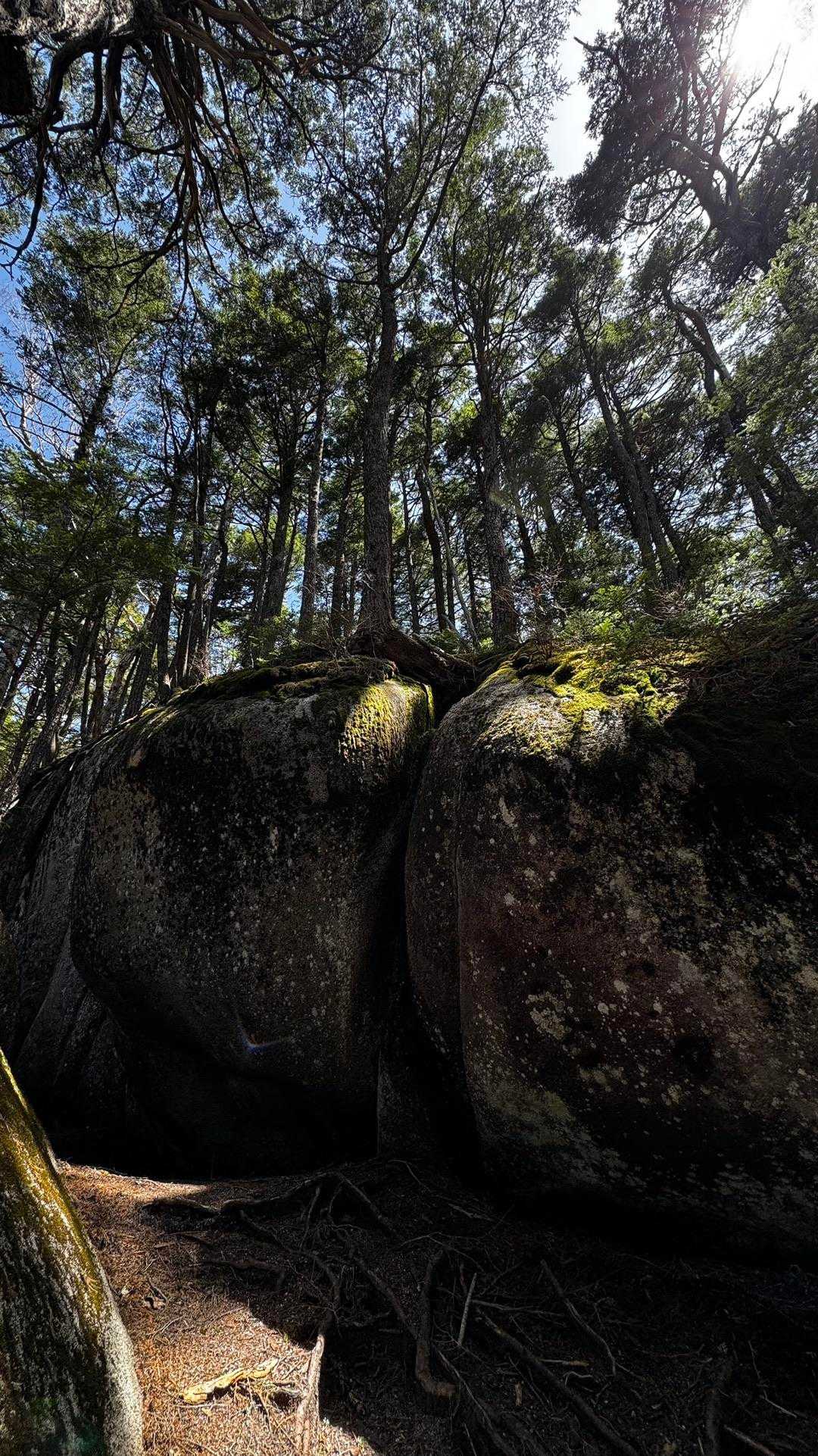 三宝山・甲武信ヶ岳縦走 の写真 18