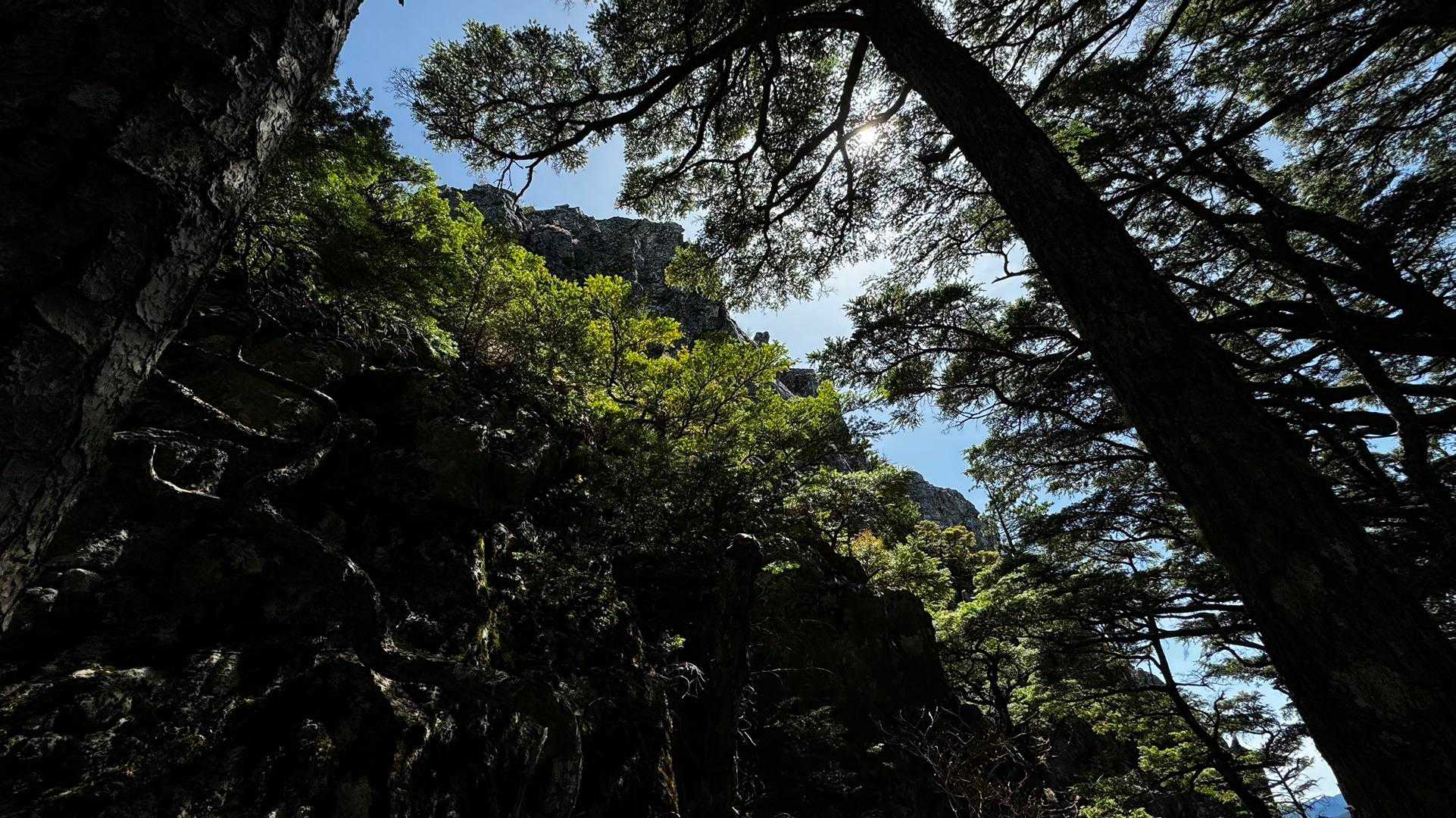 武蔵白岩