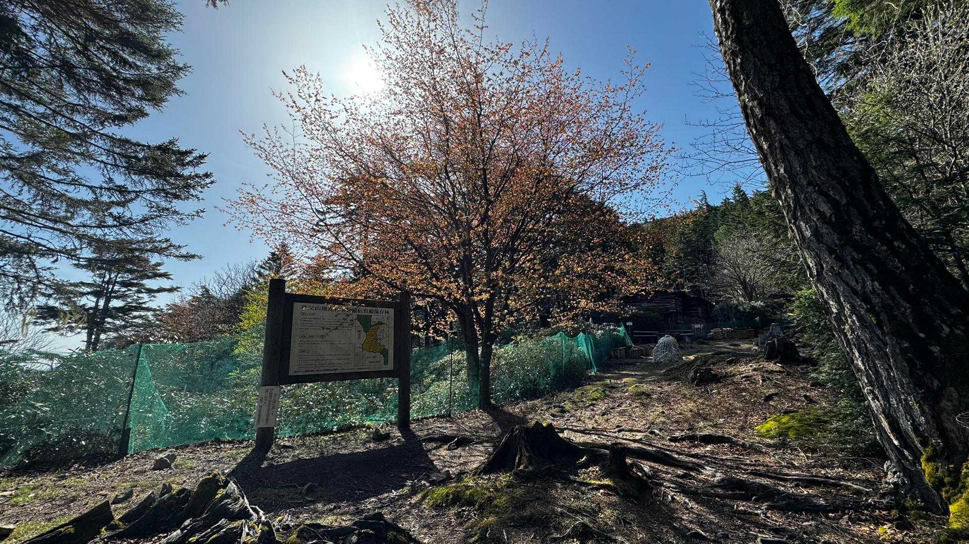 三宝山・甲武信ヶ岳縦走 の写真 10
