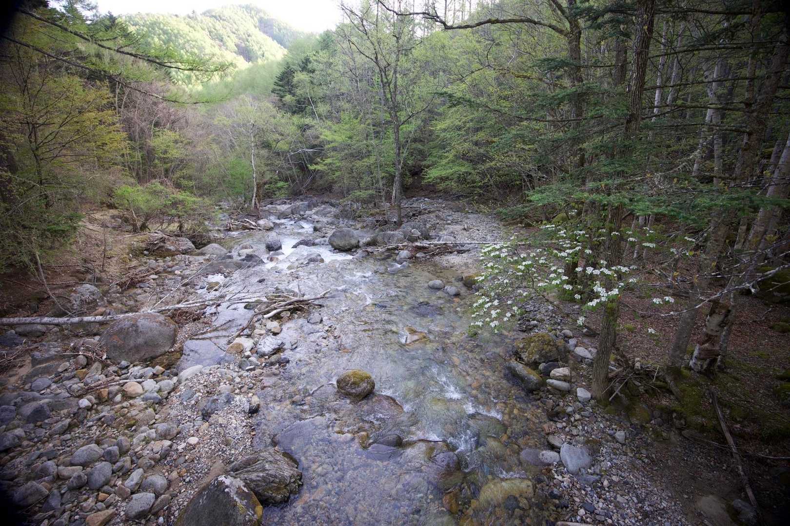 三宝山・甲武信ヶ岳縦走 の写真 5