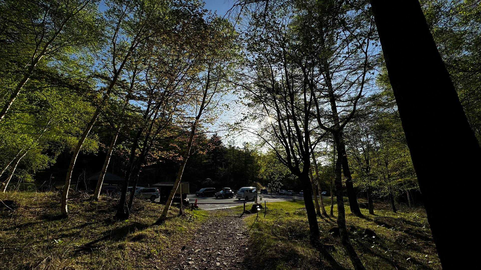 三宝山・甲武信ヶ岳縦走 の写真 42