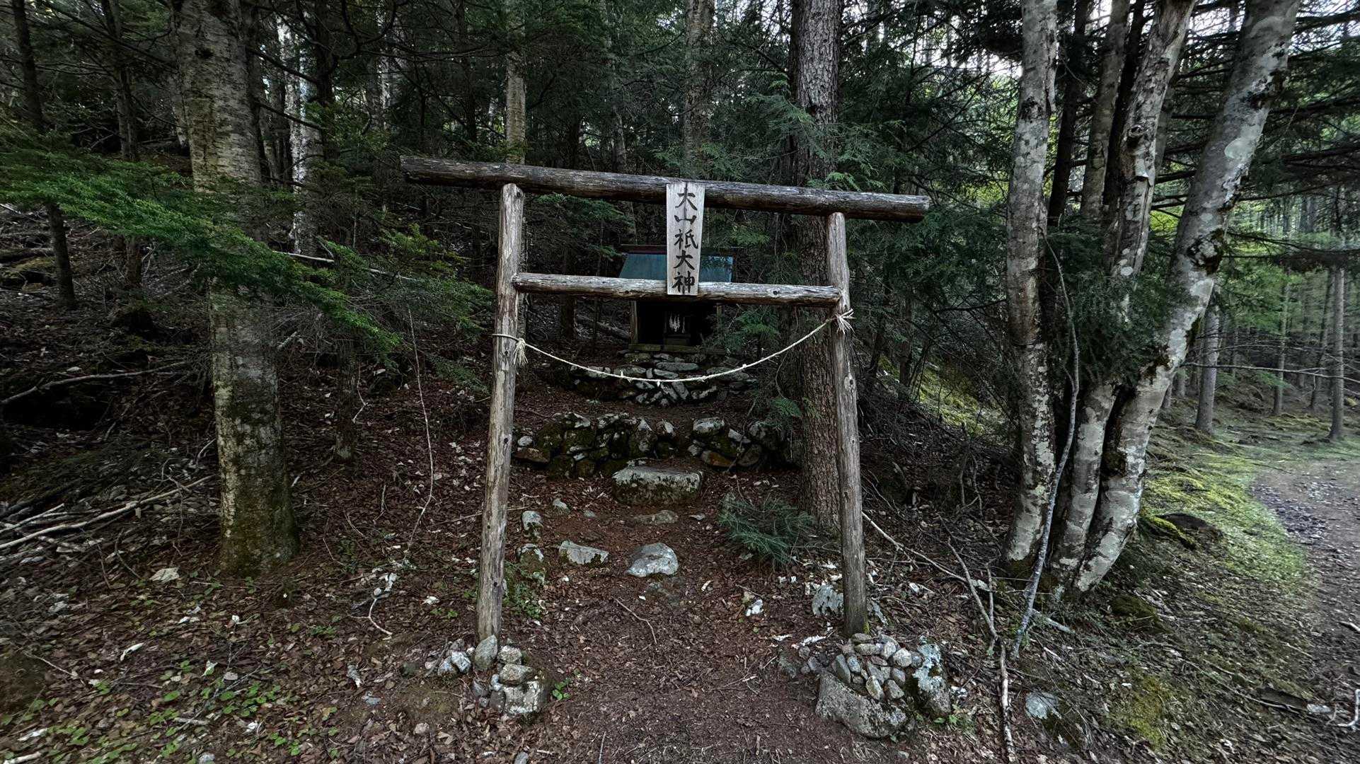 三宝山・甲武信ヶ岳縦走 の写真 40