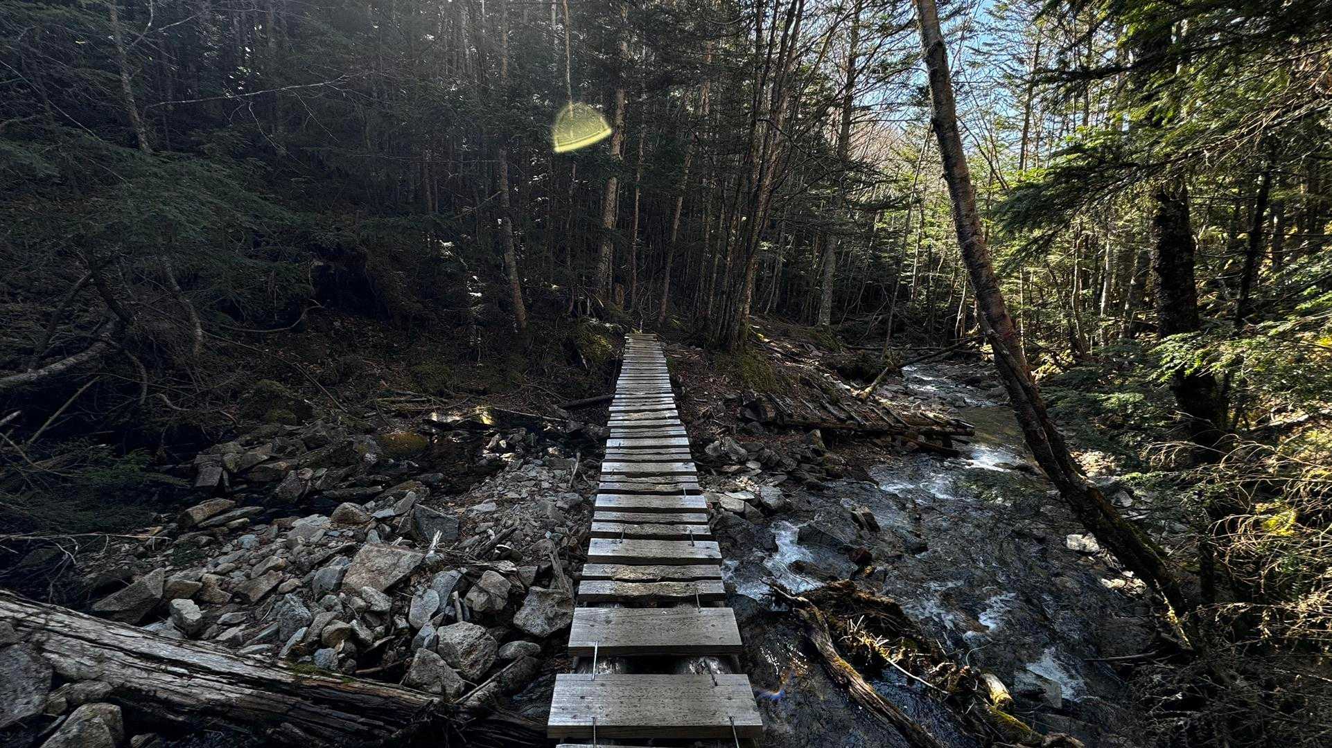 三宝山・甲武信ヶ岳縦走 の写真 35