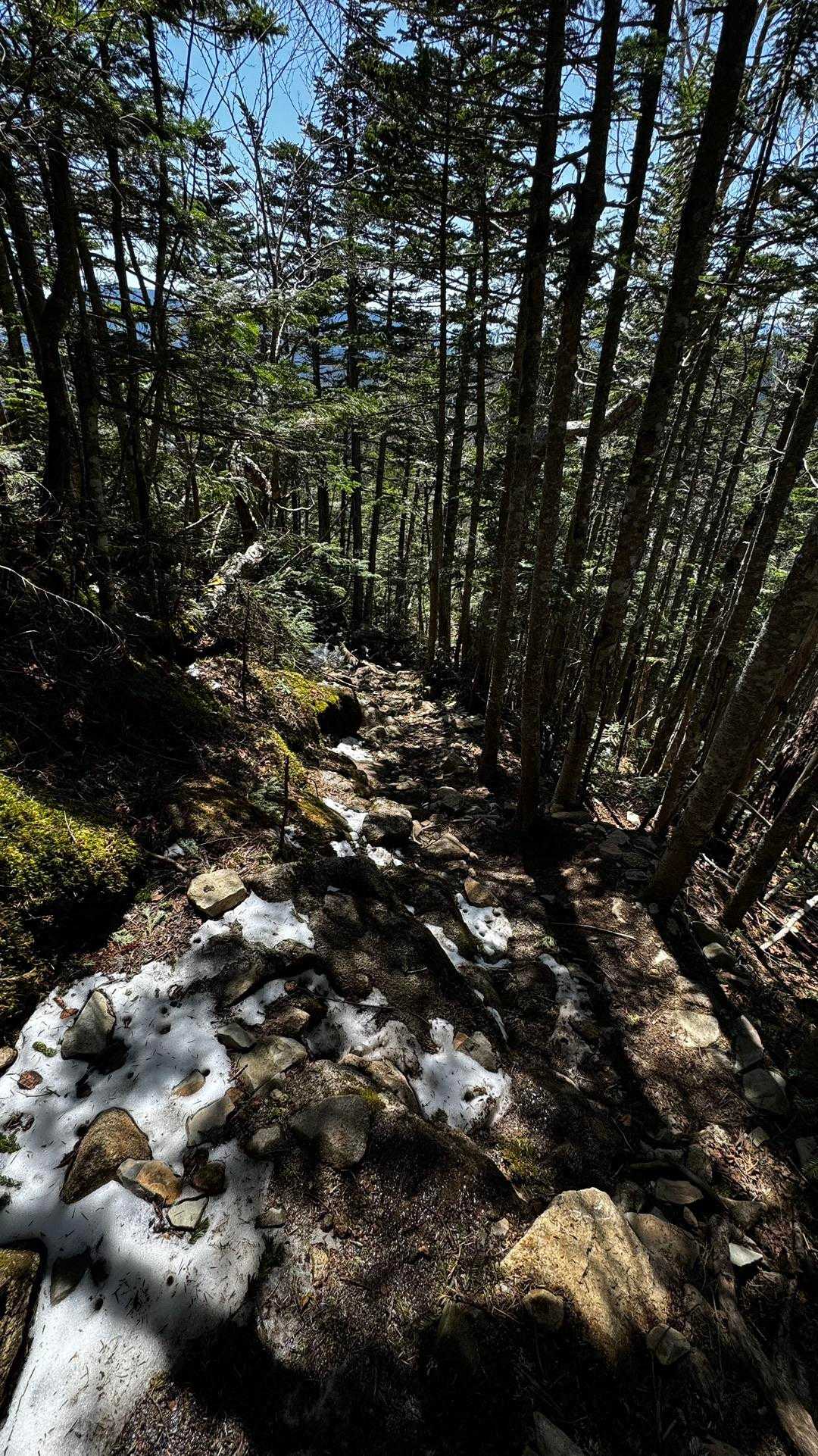 三宝山・甲武信ヶ岳縦走 の写真 31