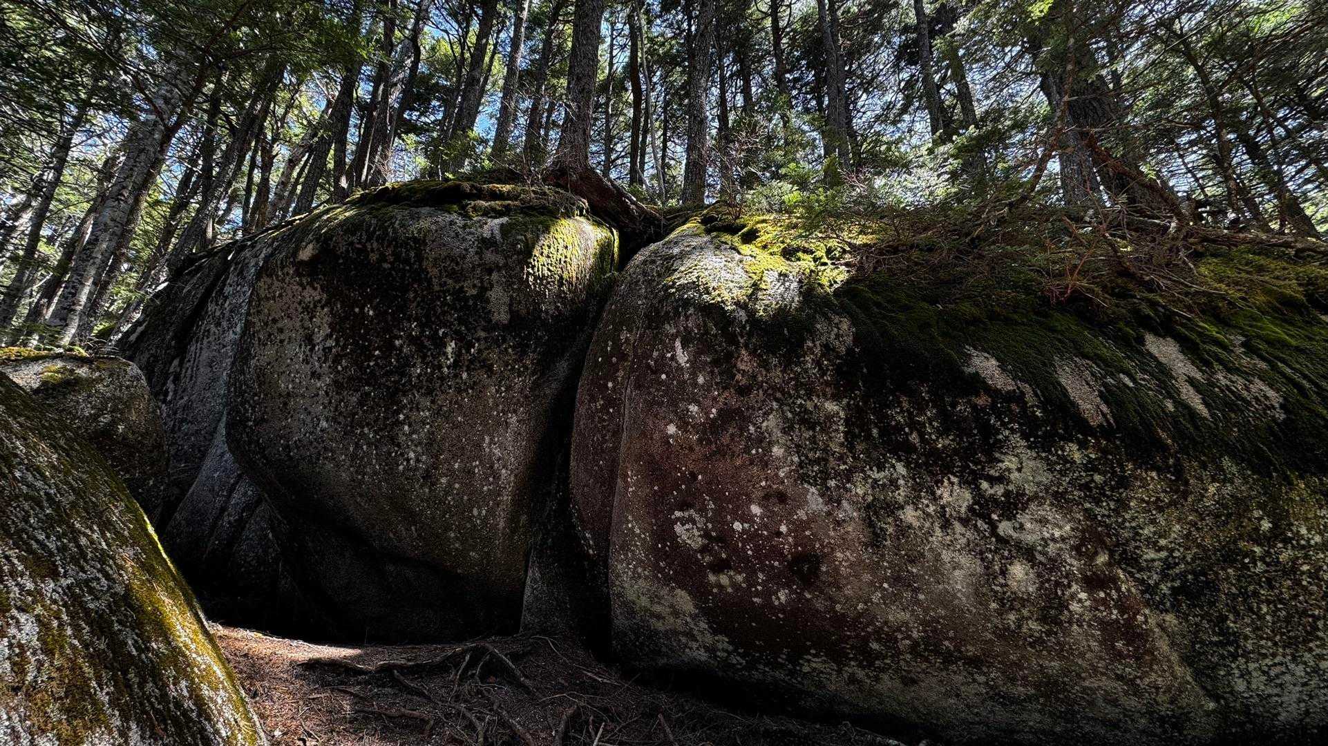 三宝山・甲武信ヶ岳縦走 の写真 17