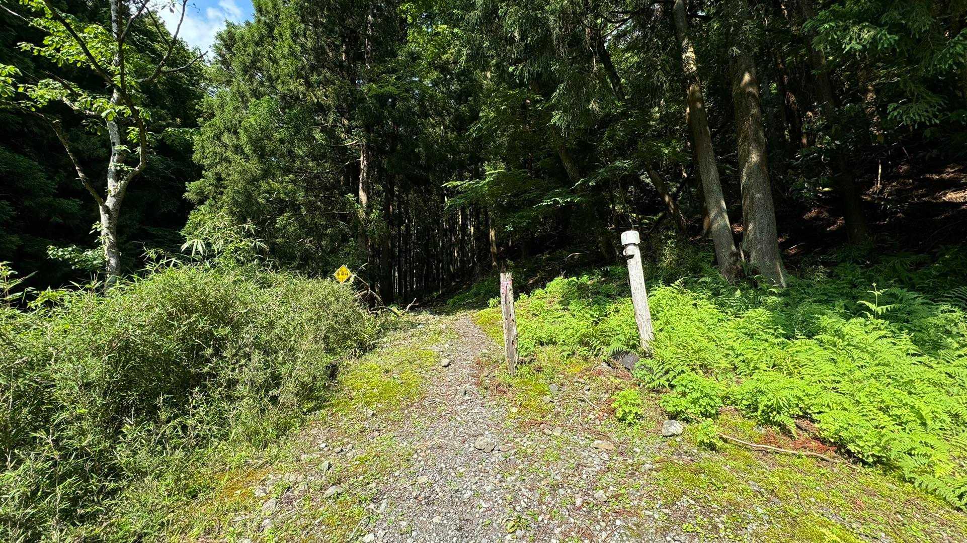 富士箱根トレイル／セクションハイク（三国山〜湯船山〜不老山〜駿河小山駅）＋鉄砲木ノ頭 の写真 48