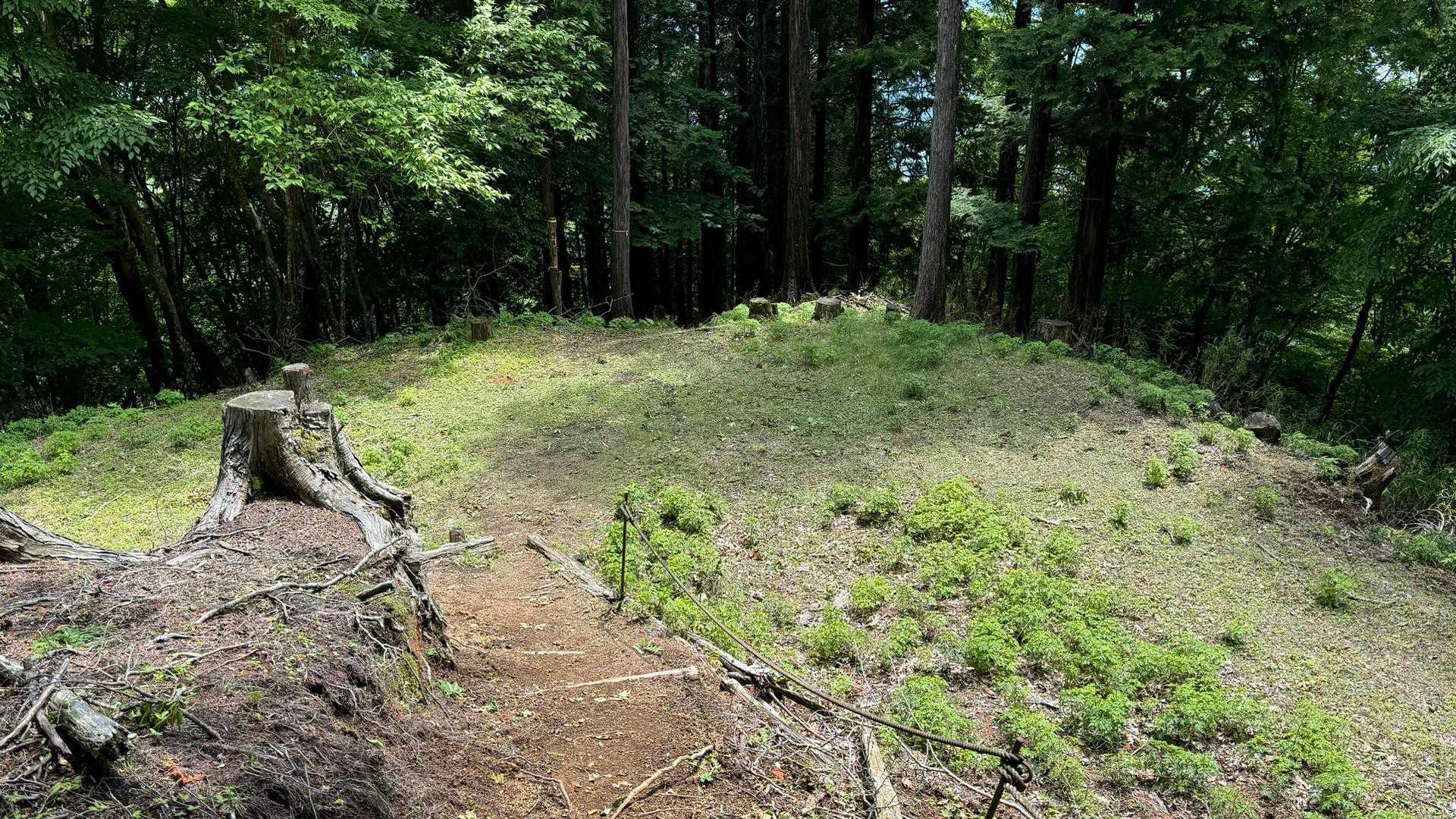 富士箱根トレイル／セクションハイク（三国山〜湯船山〜不老山〜駿河小山駅）＋鉄砲木ノ頭 の写真 41