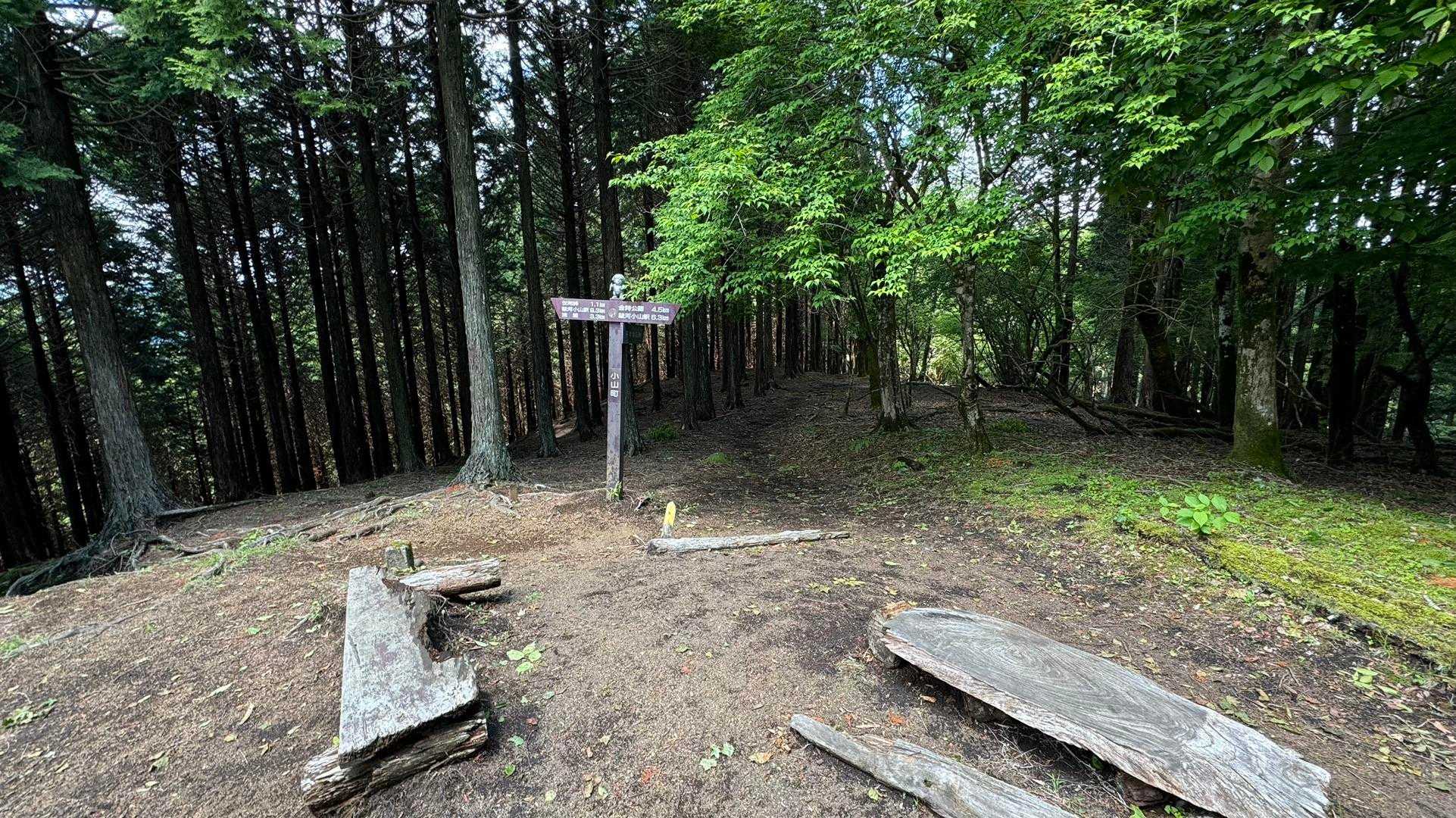 富士箱根トレイル／セクションハイク（三国山〜湯船山〜不老山〜駿河小山駅）＋鉄砲木ノ頭 の写真 39