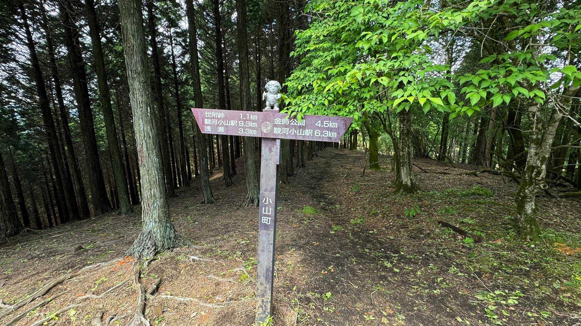 不老山（南峰）山頂