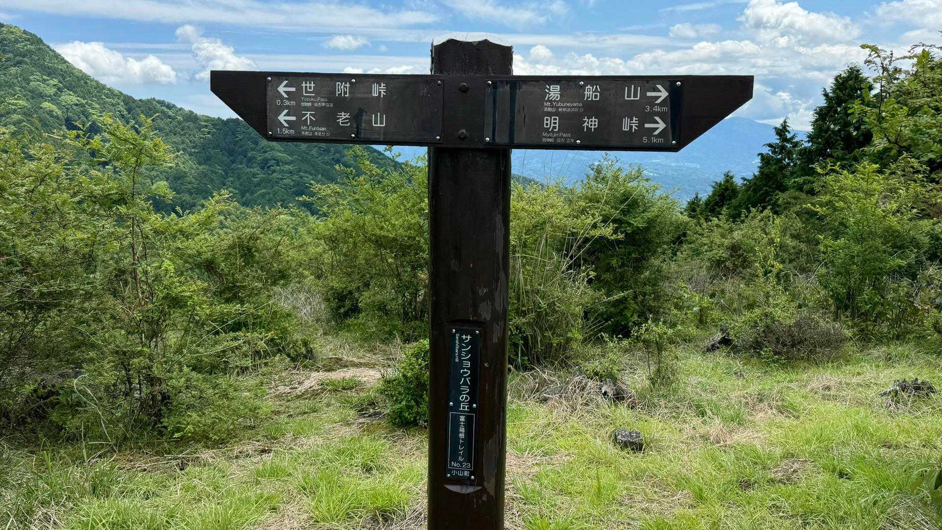 No.23 サンショウバラの丘