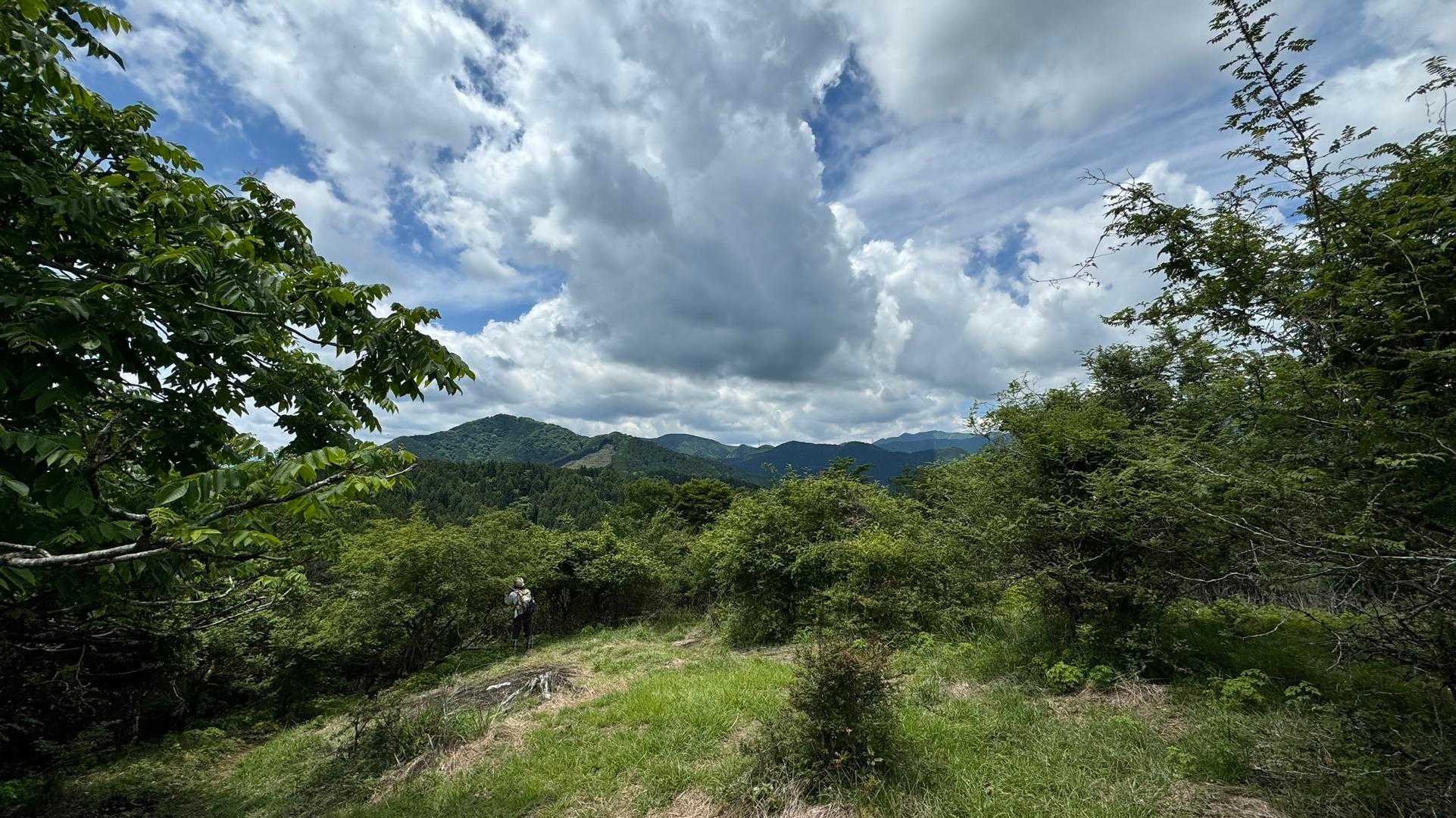 富士箱根トレイル／セクションハイク（三国山〜湯船山〜不老山〜駿河小山駅）＋鉄砲木ノ頭 の写真 34