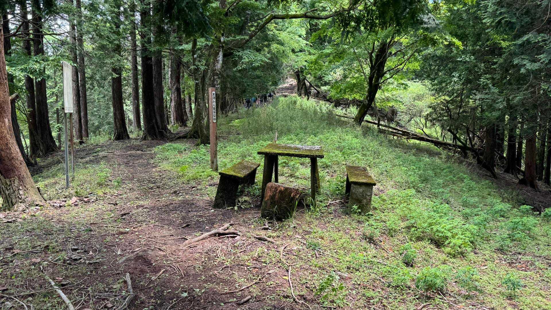 富士箱根トレイル／セクションハイク（三国山〜湯船山〜不老山〜駿河小山駅）＋鉄砲木ノ頭 の写真 32