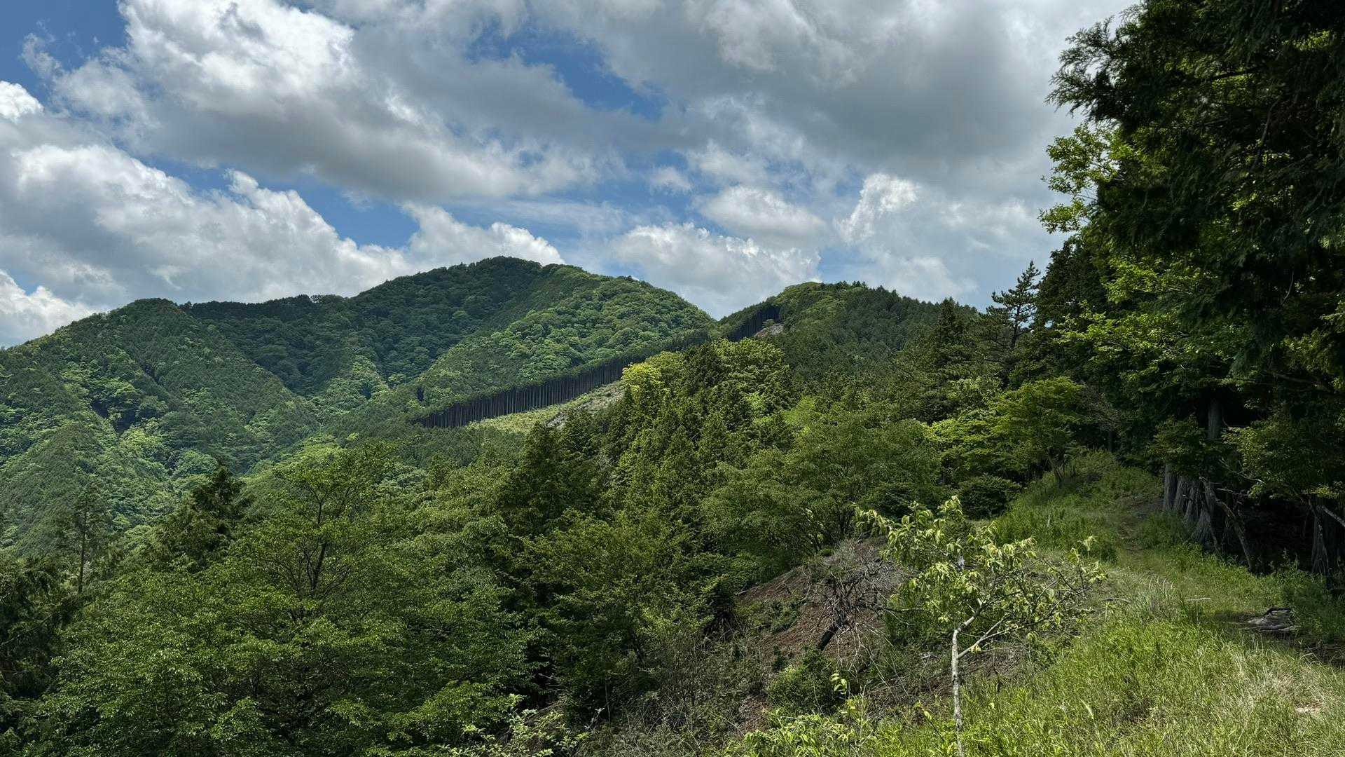 富士箱根トレイル／セクションハイク（三国山〜湯船山〜不老山〜駿河小山駅）＋鉄砲木ノ頭 の写真 31