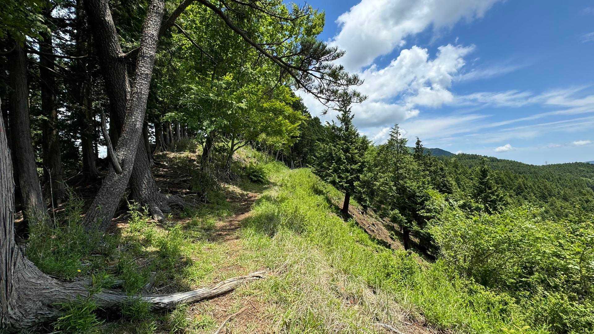 富士箱根トレイル／セクションハイク（三国山〜湯船山〜不老山〜駿河小山駅）＋鉄砲木ノ頭 の写真 30