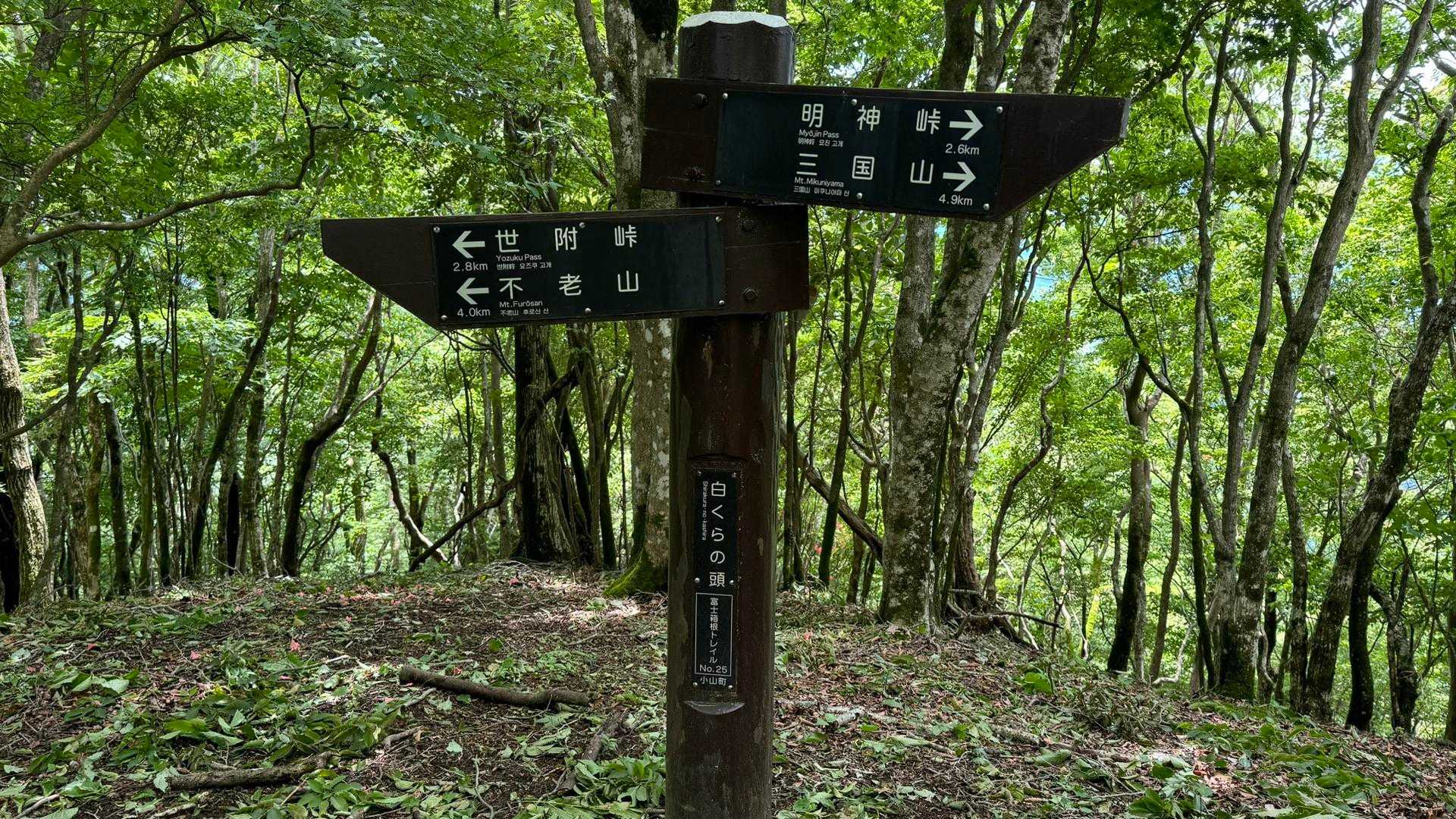 No.25 白くらの頭