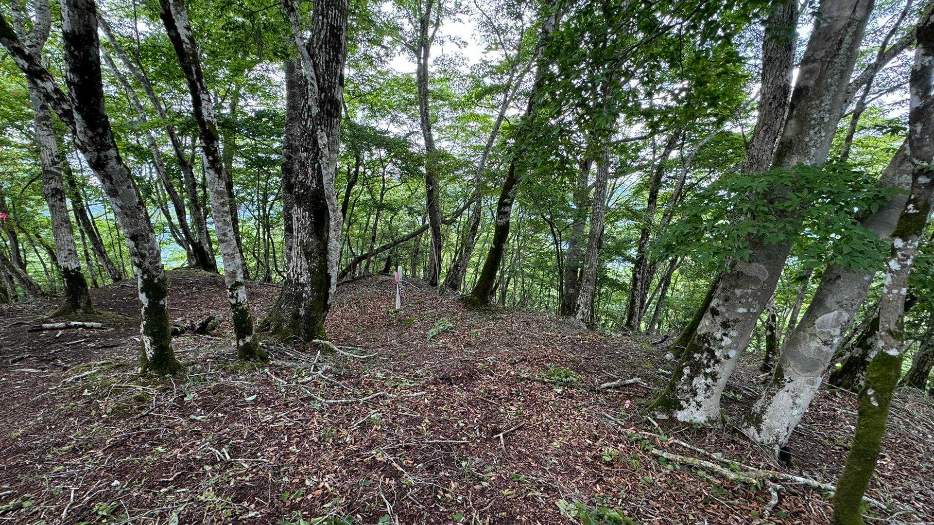 富士箱根トレイル／セクションハイク（三国山〜湯船山〜不老山〜駿河小山駅）＋鉄砲木ノ頭 の写真 26