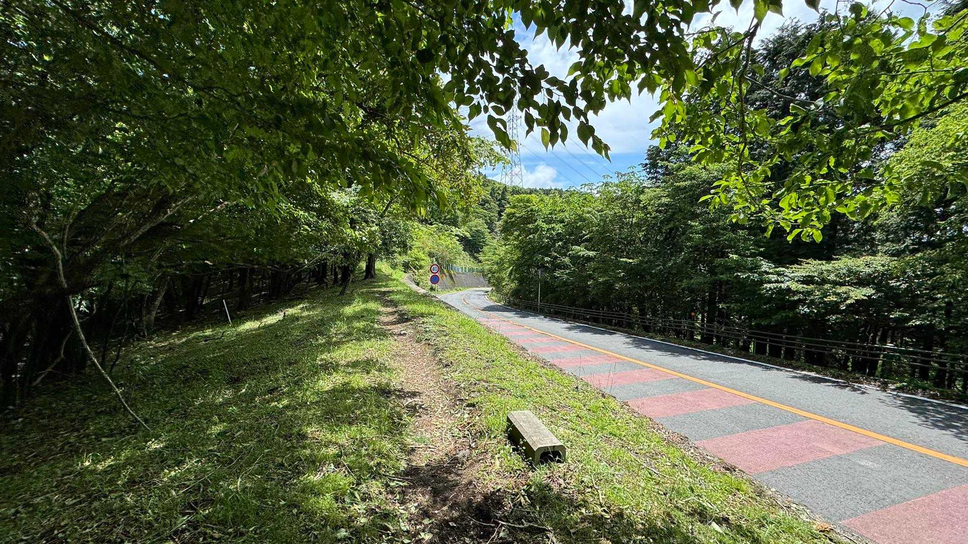 富士箱根トレイル／セクションハイク（三国山〜湯船山〜不老山〜駿河小山駅）＋鉄砲木ノ頭 の写真 18